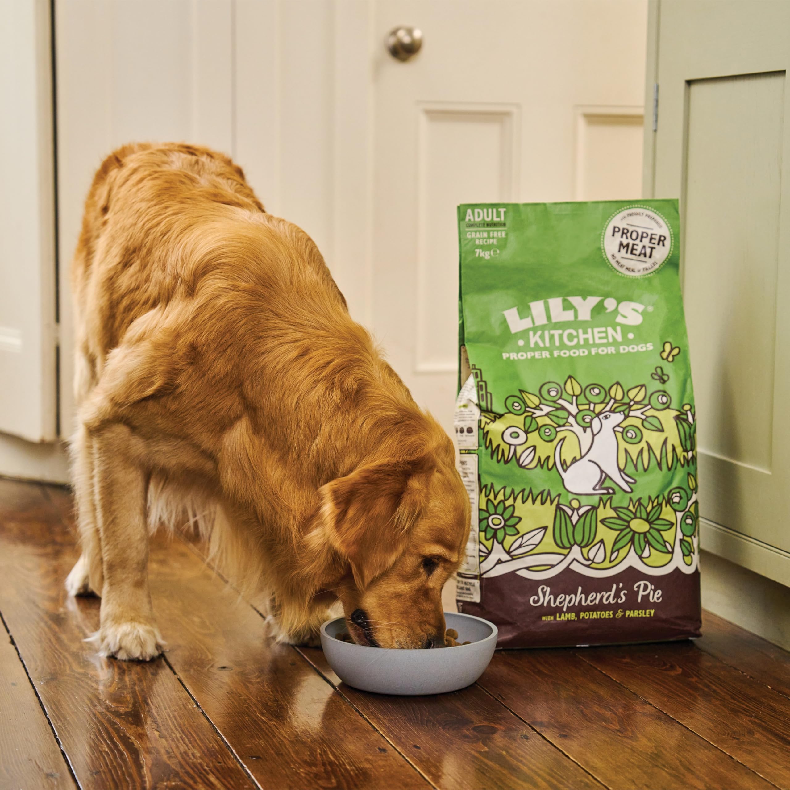 Lily's Kitchen Premium Dry Dog Food - Lovely Lamb with Peas & Parsley, Grain-Free Recipe, 1kg Pack of 4 | High Protein Adult Dog Kibble for Sensitive Stomachs | Perfect for Home Feeding, Travel & Outdoor Adventures
