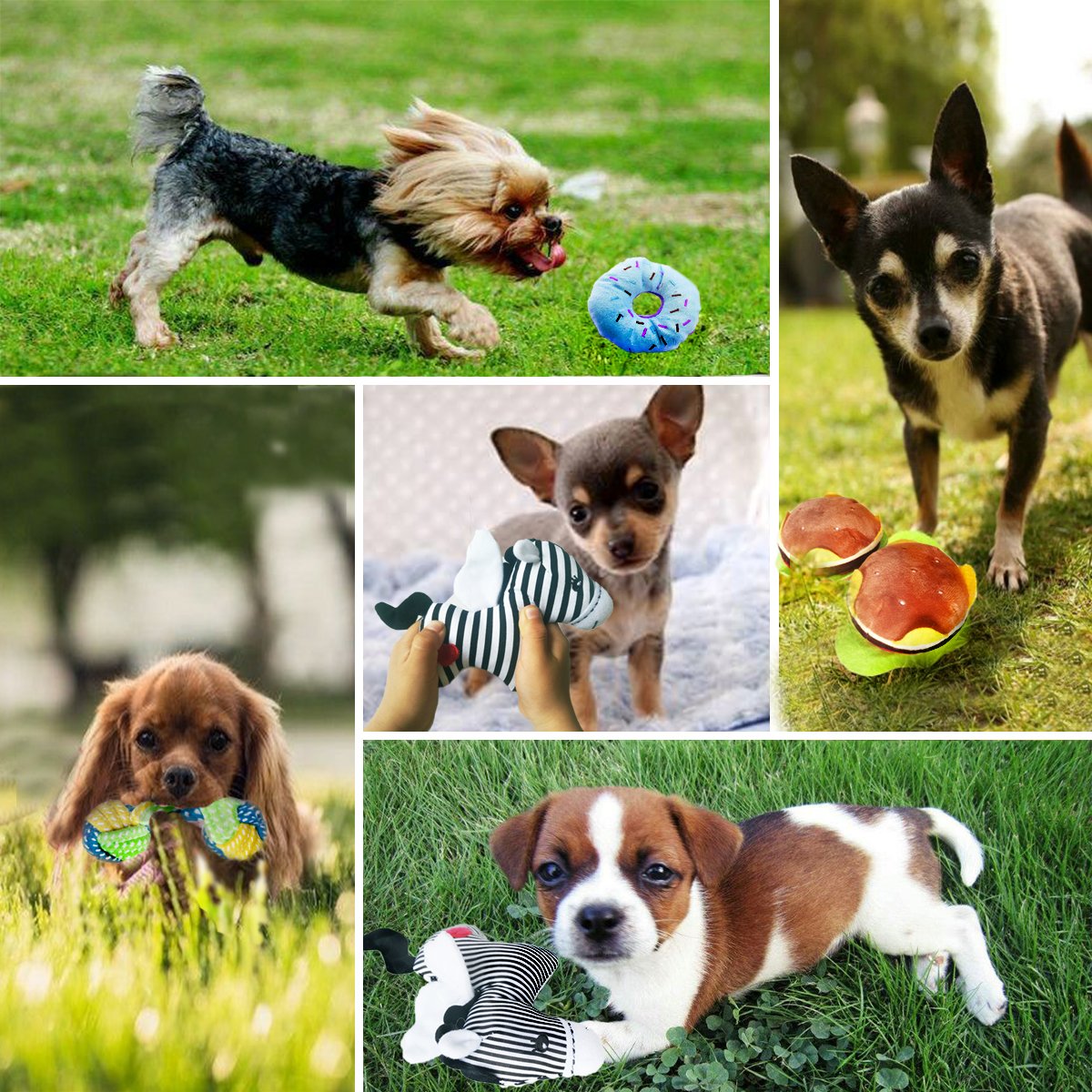 Best Dog Teething Toys for Puppies - 6 Pack Assorted Chew Toys for Small & Medium Dogs - Relieves Teething Pain & Anxiety - Perfect for Training, Playtime & Dental Health