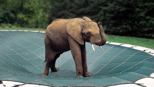20ft x 42ft LOOP-LOC Mesh Safety Winter Pool Cover - Durable, Secure Protection for Inground Swimming Pools