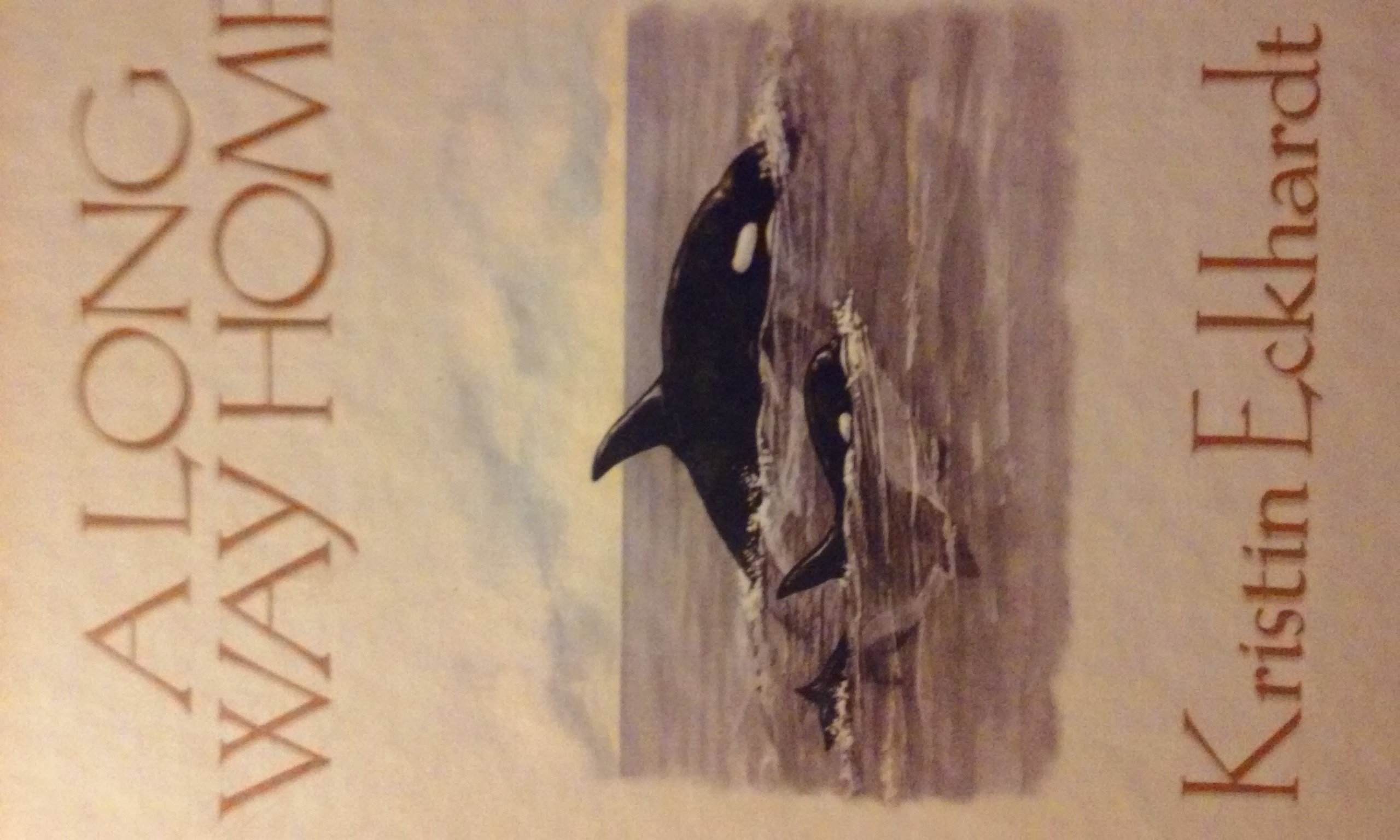 A Long Way Home (Mysteries of Sparrow Island #11) - Teen Mystery Adventure Book for Young Readers | Perfect for Bedtime Stories & Book Club Discussions