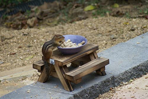 Handmade Cedar Squirrel Picnic Table Feeder with Melamine Bowl - Wildlife Garden Decor for Backyard, Patio - Includes Squirrel Food Guide - Perfect Gift for Nature Lovers & Squirrel Enthusiasts (Outdoor Decor, Bird Watching, Garden Accent)