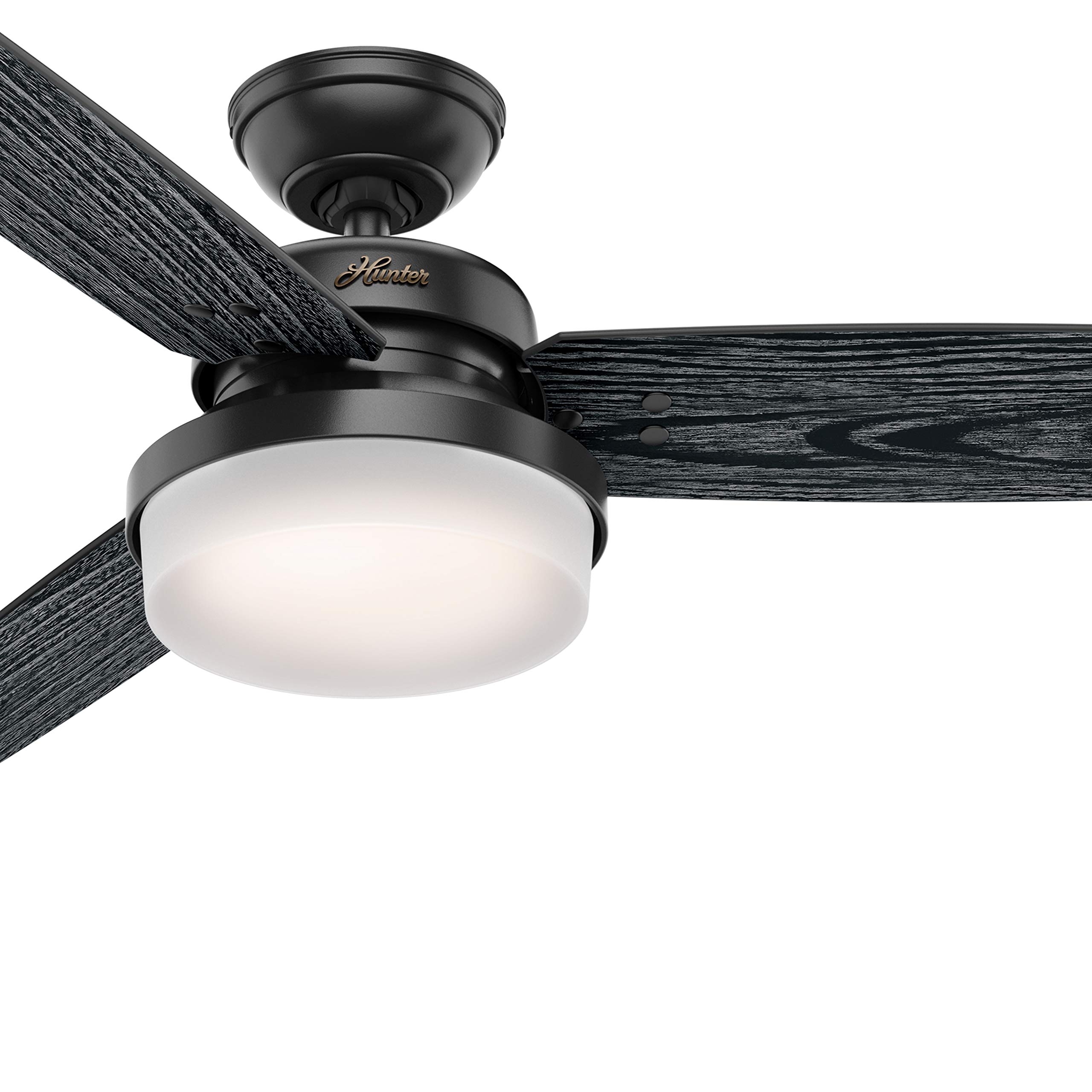 Hunter Fan 52 Inch Matte Black Ceiling Fan with Light Kit & Remote Control - Indoor Cooling for Bedroom, Living Room, Office (Renewed)