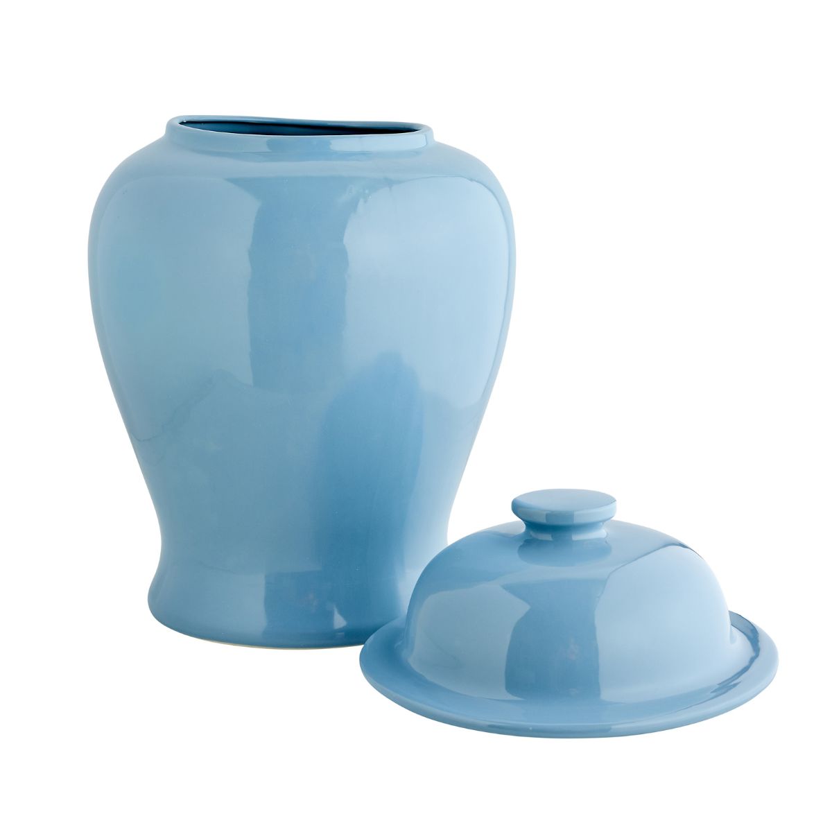 Extra Large Blue Aviary Jar - Perfect for Bird Cages, Terrariums & Home Decor | Durable Glass Container for Pet Birds, Reptiles & Decorative Storage