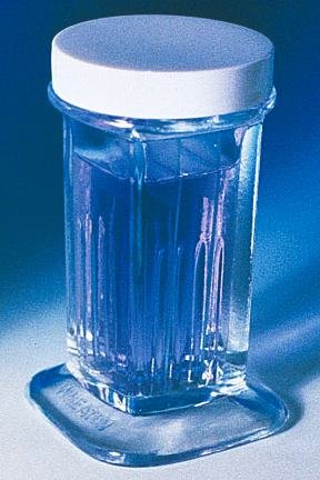 6 Pack Glass Coplin Staining Jars for Microscope Slides - Lab-Grade Slide Staining Containers for Histology, Cytology & Pathology Studies (Ideal for Laboratories, Research & Medical Facilities)