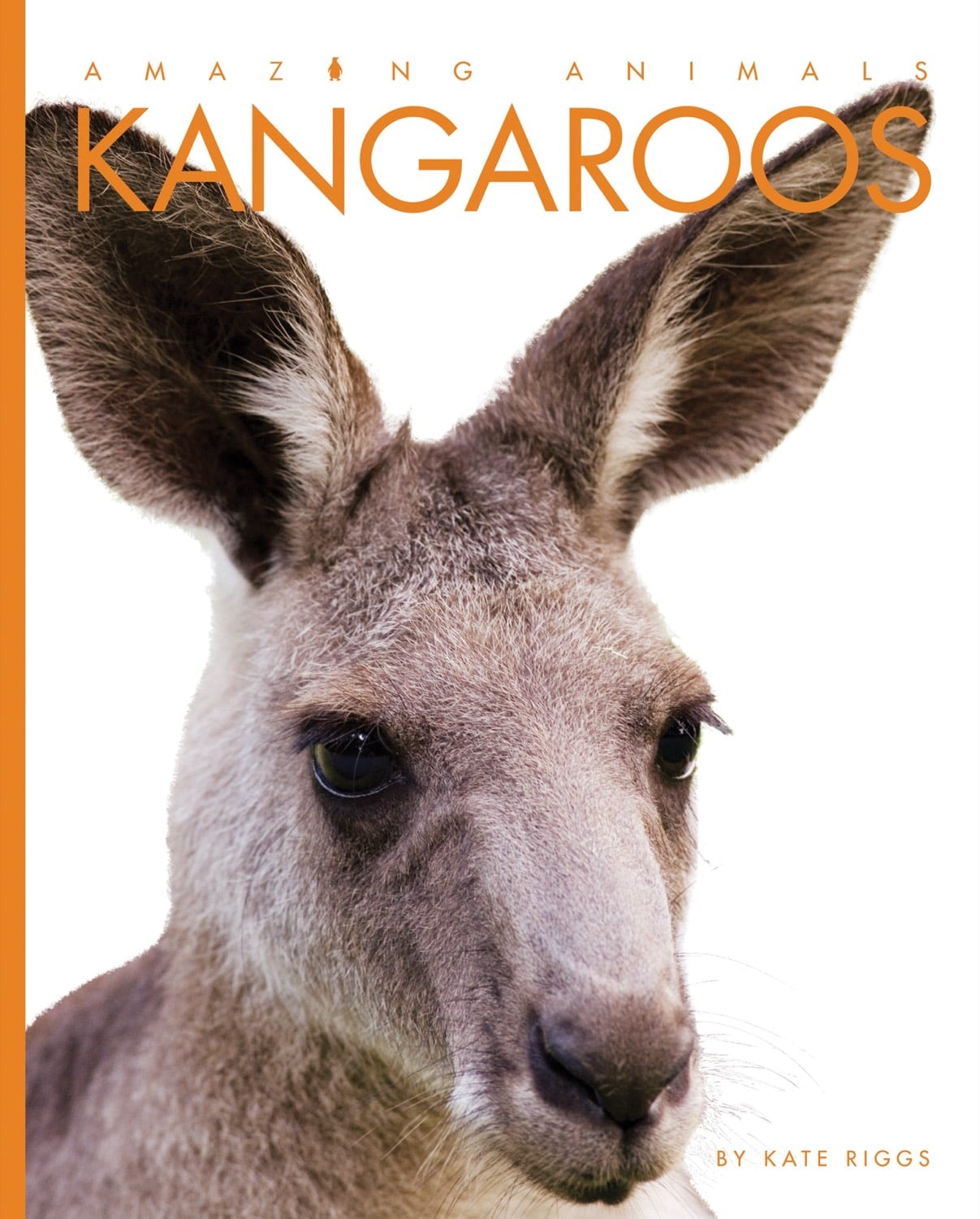 Amazing Animals (2014) - Kangaroos Documentary | Wildlife & Nature Films | Educational Videos for Kids & Animal Lovers | Perfect for Classroom Learning & Family Movie Nights