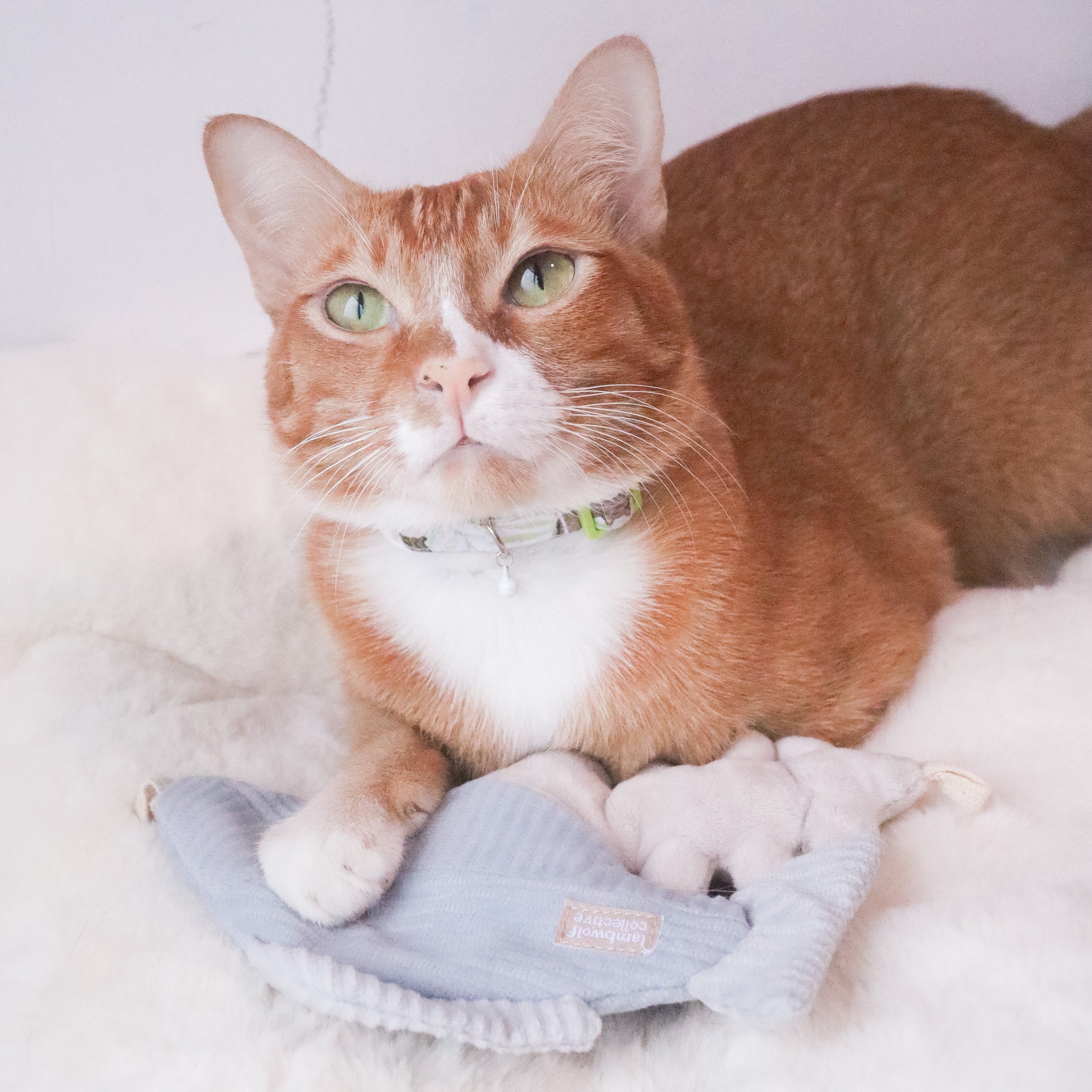 Kitty Trout Cat Toy - Interactive Fishing Rod Toy for Cats with Feather & Bell - Perfect for Indoor Play, Exercise & Bonding with Your Kitten