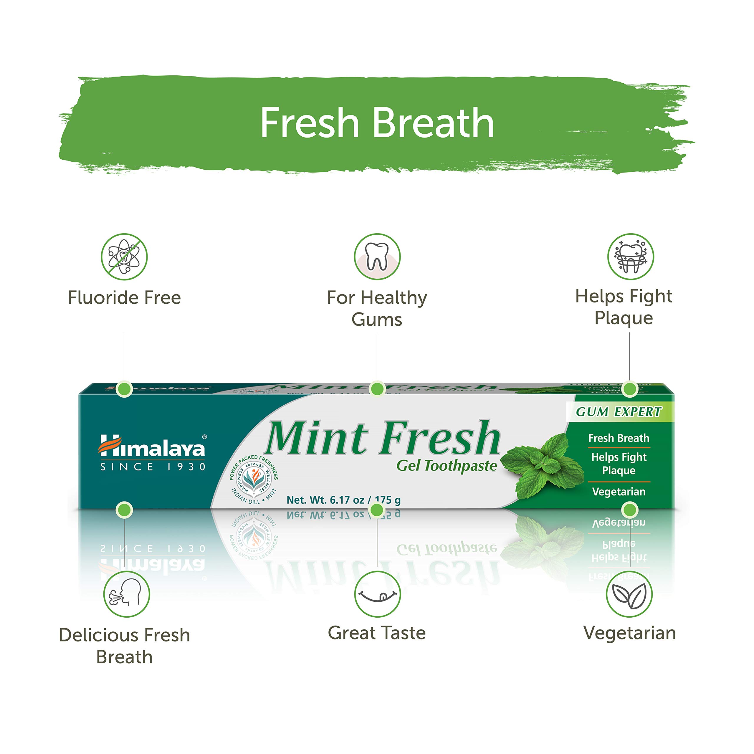 Himalaya Mint Fresh Gel Toothpaste - Fluoride Free for Plaque Reduction & Teeth Whitening, 6.17 oz - Natural Oral Care for Fresh Breath & Healthy Gums - Perfect for Daily Use at Home or Travel