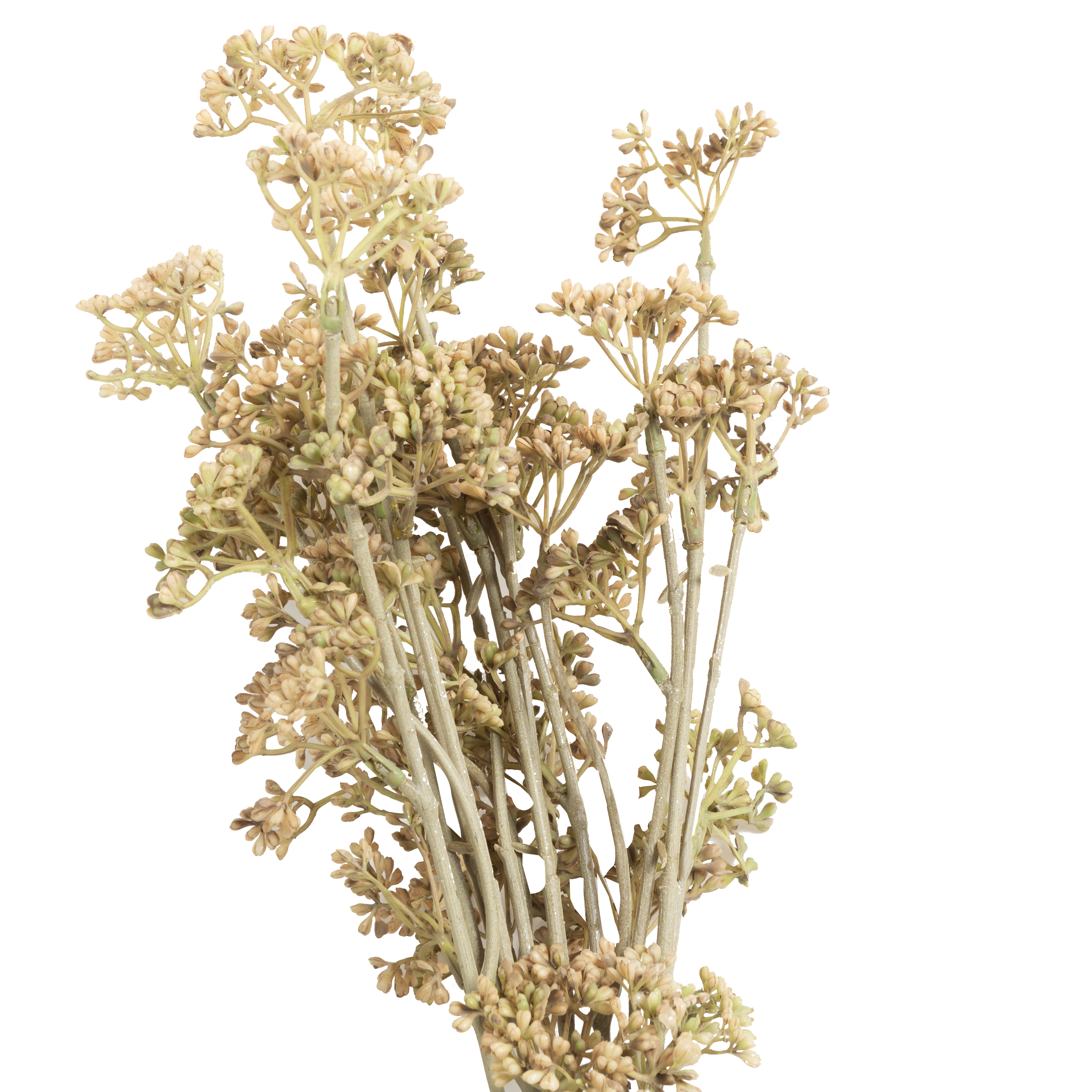 Premium Natural Meadow Sedge Stems for DIY Floral Arrangements, Wreaths & Home Decor - Dried Grass Stalks for Rustic Wedding Centerpieces, Seasonal Crafts and Table Settings
