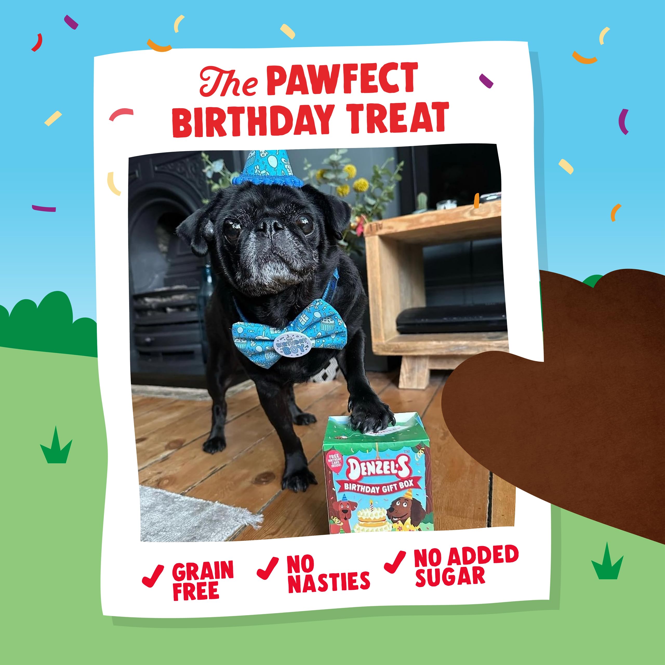 Denzel's Mini Birthday Gift Box for Dogs - Peanut Butter & Strawberry Cake Chews + Coconut & Apple Balloon Shaped Treats (110g) - Perfect for Birthday Parties, Puppy Celebrations & Special Occasions