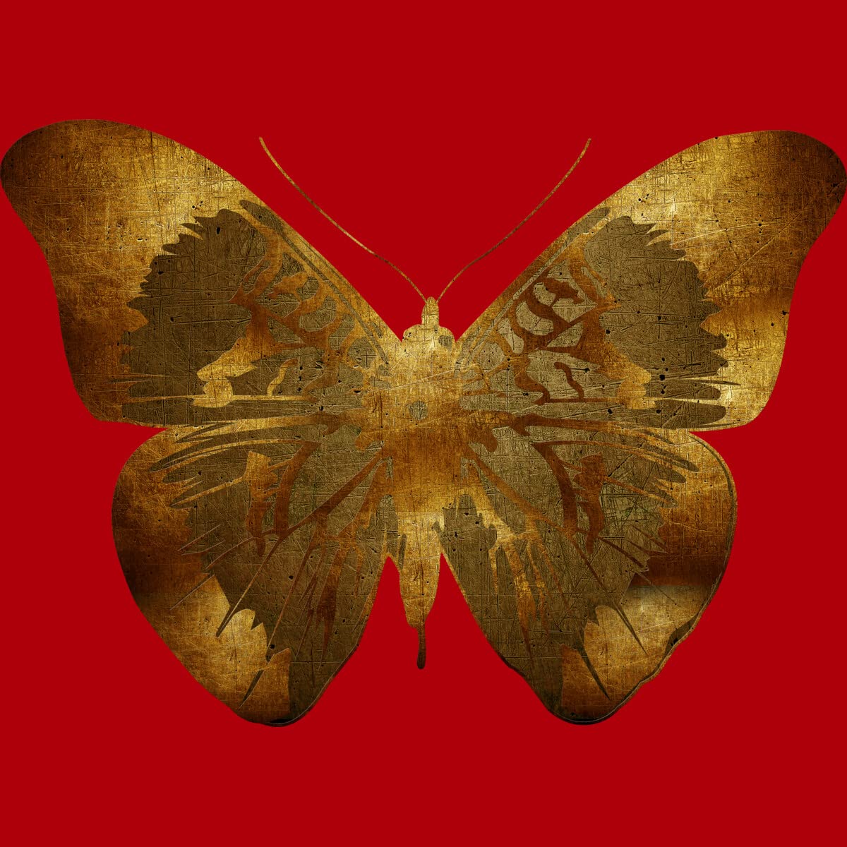 Design By Humans Junior's Iron Butterfly Graphic Tee by Adamzworld | Trendy Butterfly Print T-Shirt for Teens & Youth | Perfect for Casual Wear, School, and Street Fashion