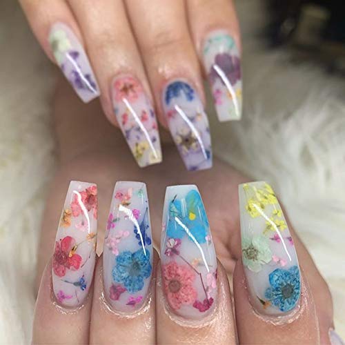 SHEBA NAILS Milk Bath Flower Acrylic Nail Art Kit - Professional DIY Manicure Set for Salon-Quality Nails at Home, Perfect for Parties, Weddings & Special Occasions