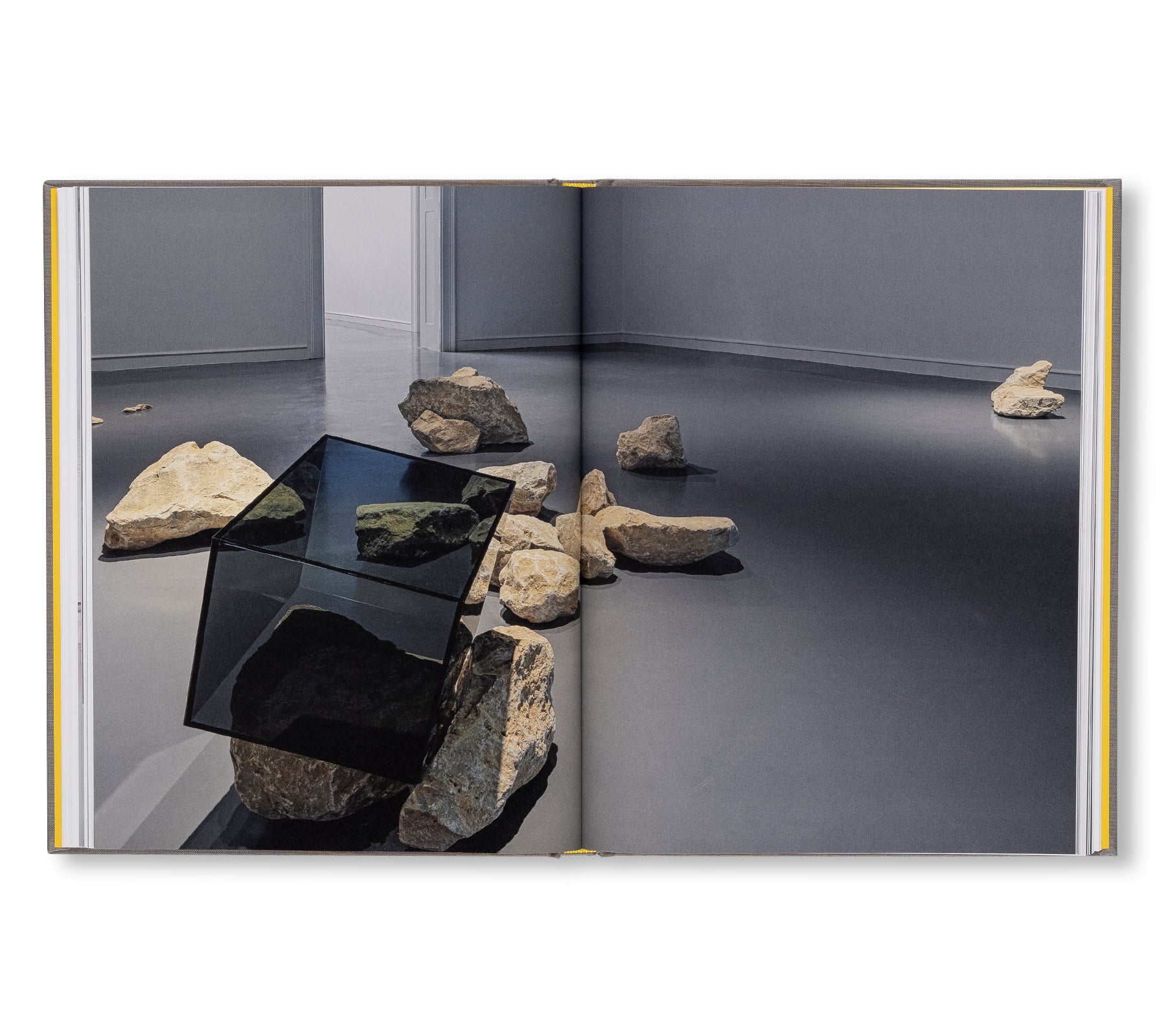 OPERA TO A BLACK VENUS by Grada Kilomba - Contemporary Art Book on Race & Gender - Perfect for Art Collectors, Feminist Studies & Cultural Discussions