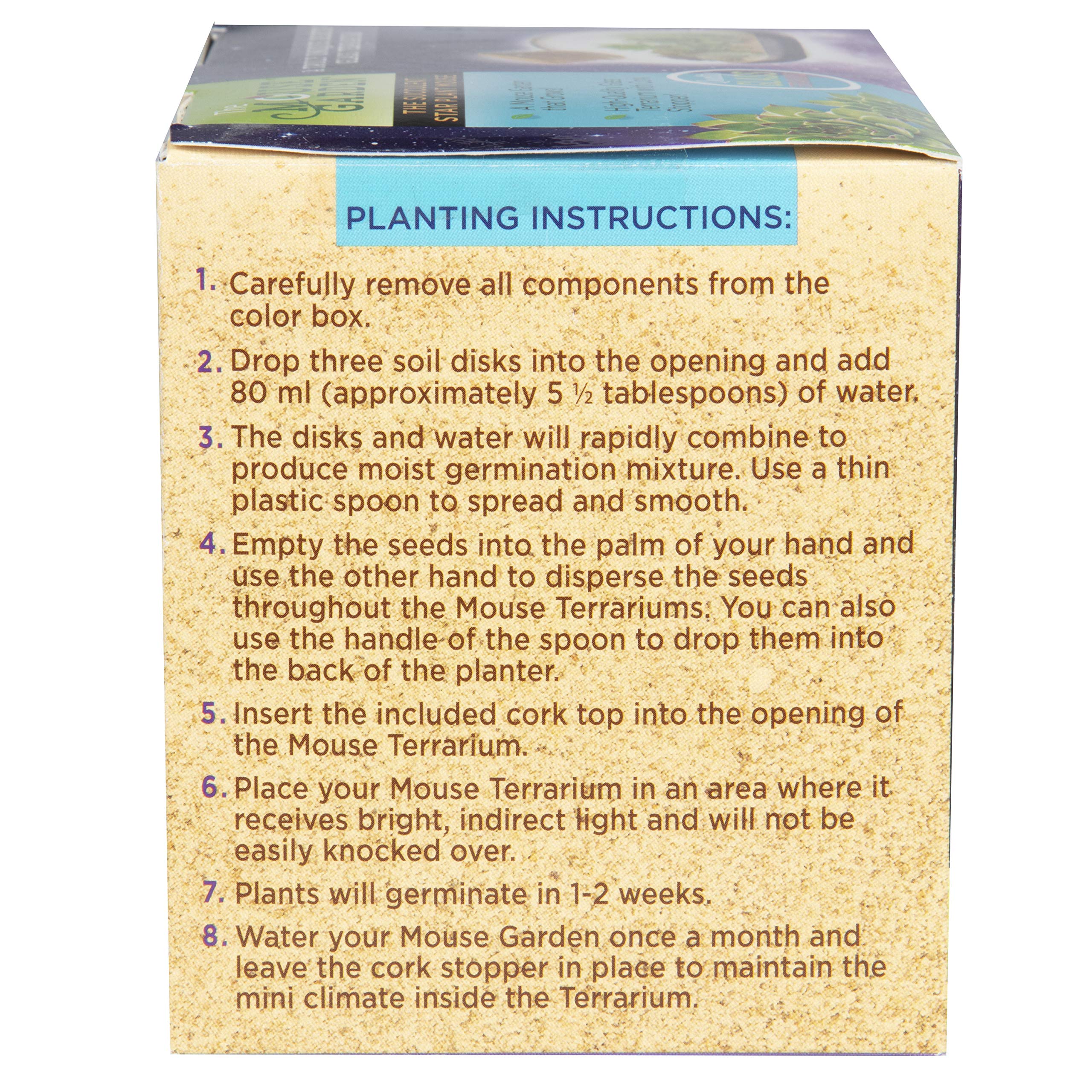 Glass Terrarium Starter Kit for Succulent Star Plant Mouse - Complete DIY Growing Supplies for Home & Office Decor - Easy to Grow Long-Lasting Indoor Garden - Perfect for Gifts, Desktops, and Relaxation Spaces