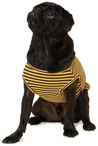 Black/Yellow
