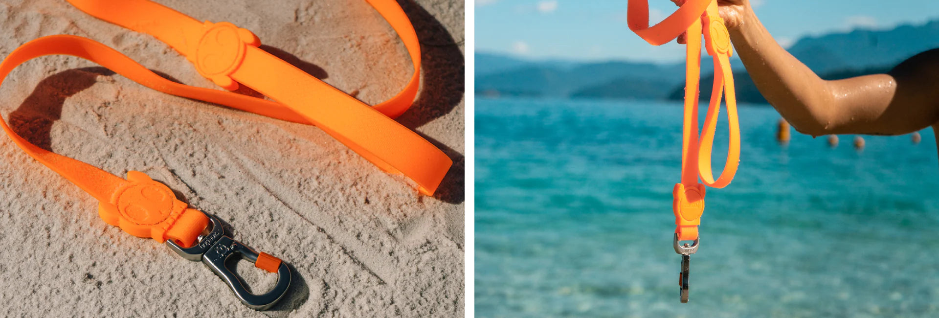 Neopro Tangerine Dog Collar - Adjustable Pet Collar for Small Medium Large Dogs | Durable Nylon Material | Reflective Stitching for Night Safety | Perfect for Walking, Training & Outdoor Adventures