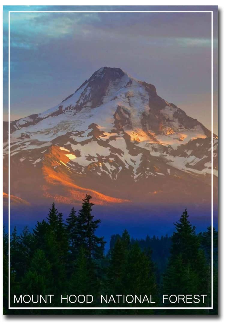 Oregon Mount Hood National Forest Fridge Magnet - 2.5