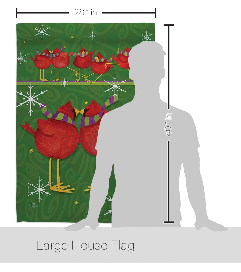 Callin All Cardinals Winter House Flag Set 28x40 - Outdoor Holiday Decor