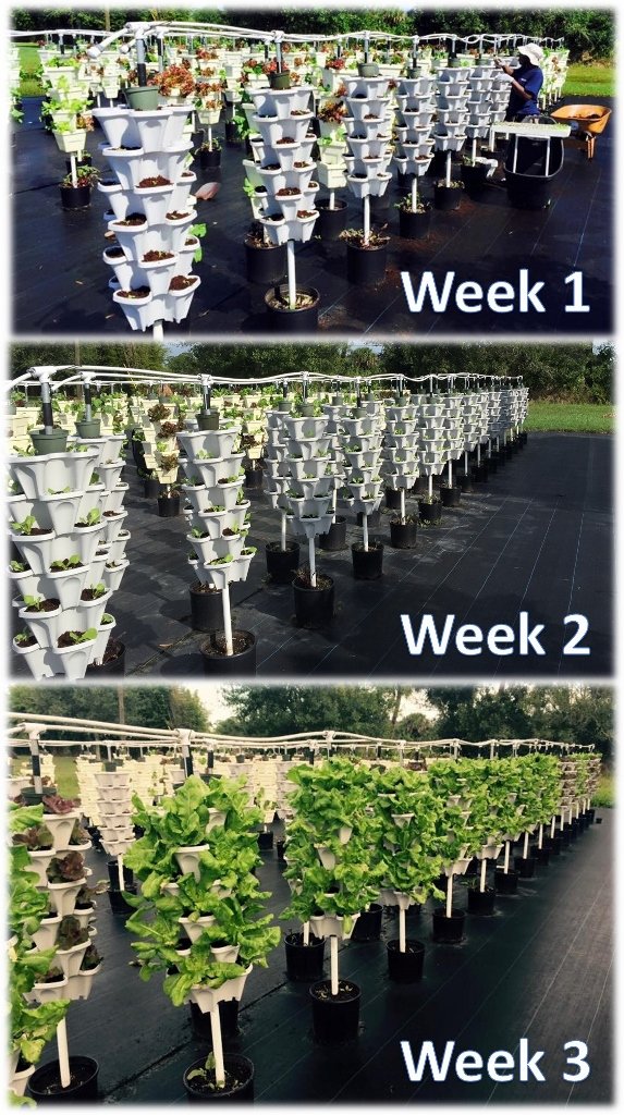 12 Large Stackable Planters for Strawberries, Vegetables, Herbs & Lettuce - Mr Stacky Vertical Gardening Pots for Soil, Hydroponics & Aquaponics - Indoor/Outdoor Stacking Container Garden System (12-Pack, Stone) - Perfect for Small Spaces, Balconies & Urban Farming