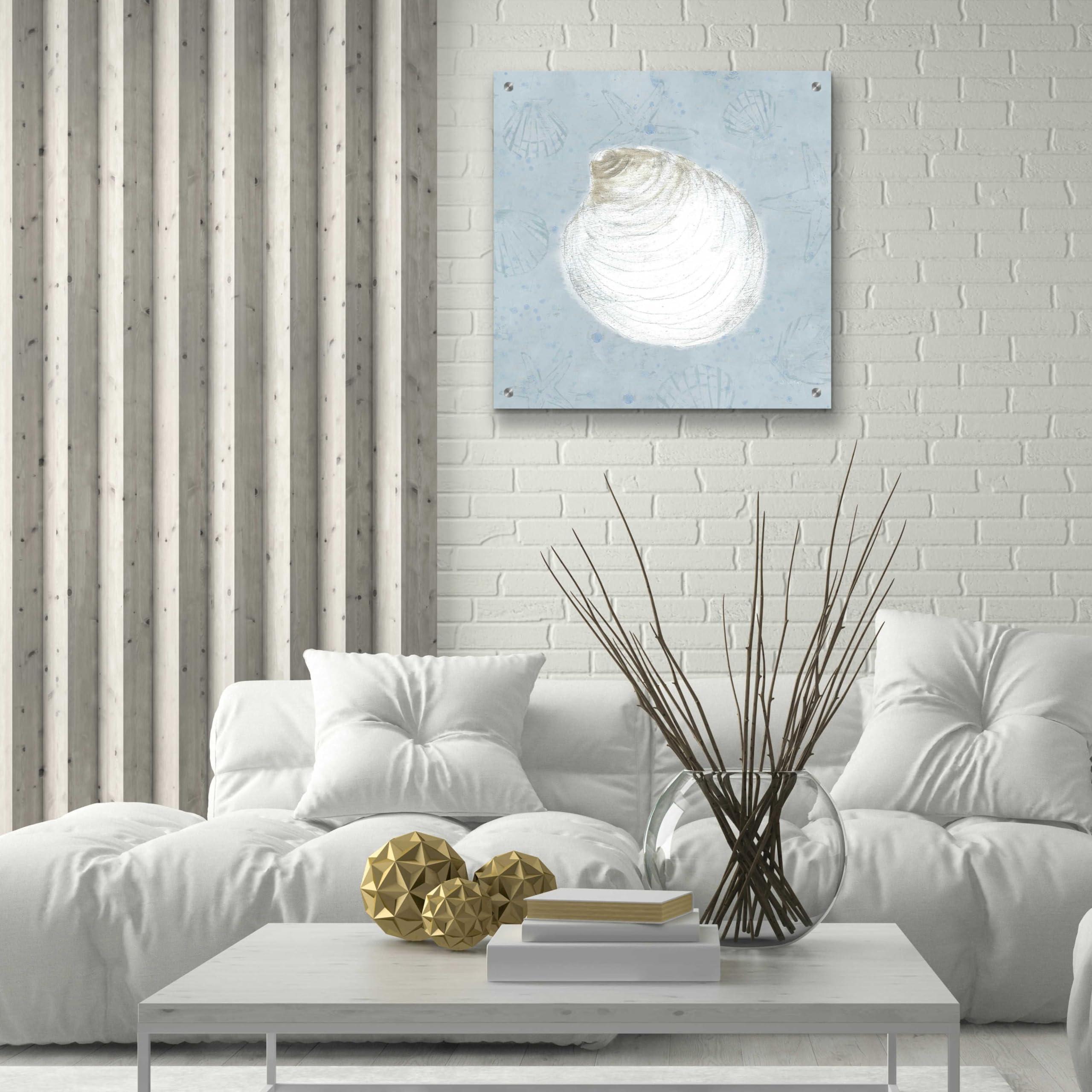 Serene Shells II by James Wiens - 24x24 Inch Acrylic Glass Wall Art Painting, Modern Coastal Home Decor for Living Room, Bedroom & Office