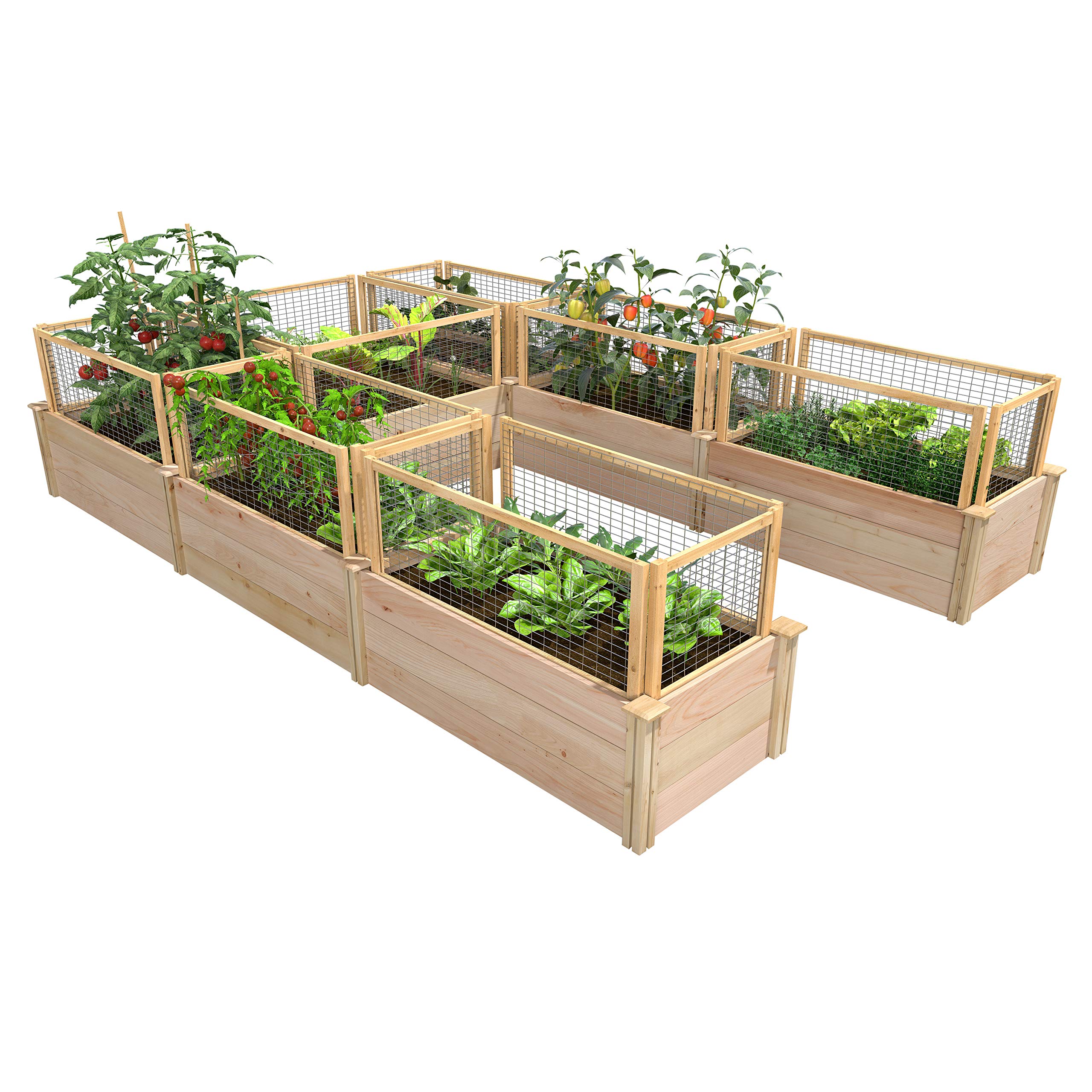 Premium Cedar Raised Garden Bed Kit with CritterGuard Fence System - 8' x 12' x 16.5