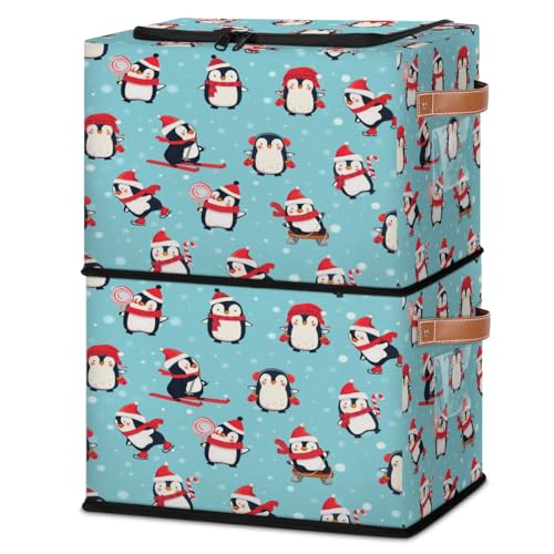 Cute Penguin Winter Animal