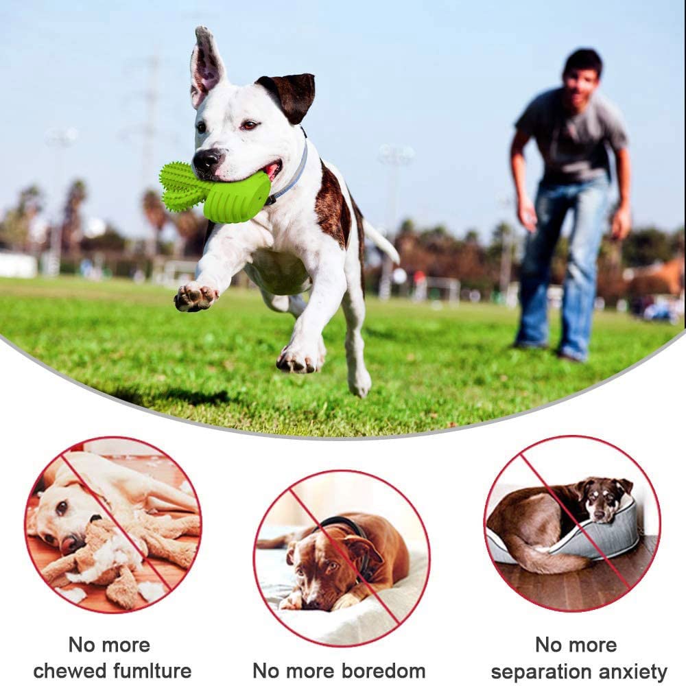 Durable Rubber Dog Chew Toys for Teeth Cleaning - Dental Chew Stick Toothbrush for Small, Medium & Large Dogs - Tough Squeaky Cactus Toy for Aggressive Chewers | Perfect for Puppy Teething, Dental Care & Playtime