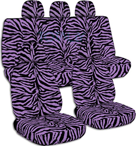 Purple Zebra