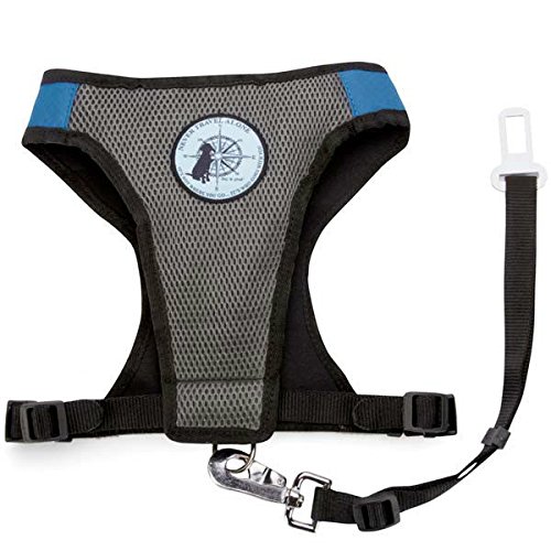 Dog Car Harness - Padded X-Large Blue for Safe Travel
