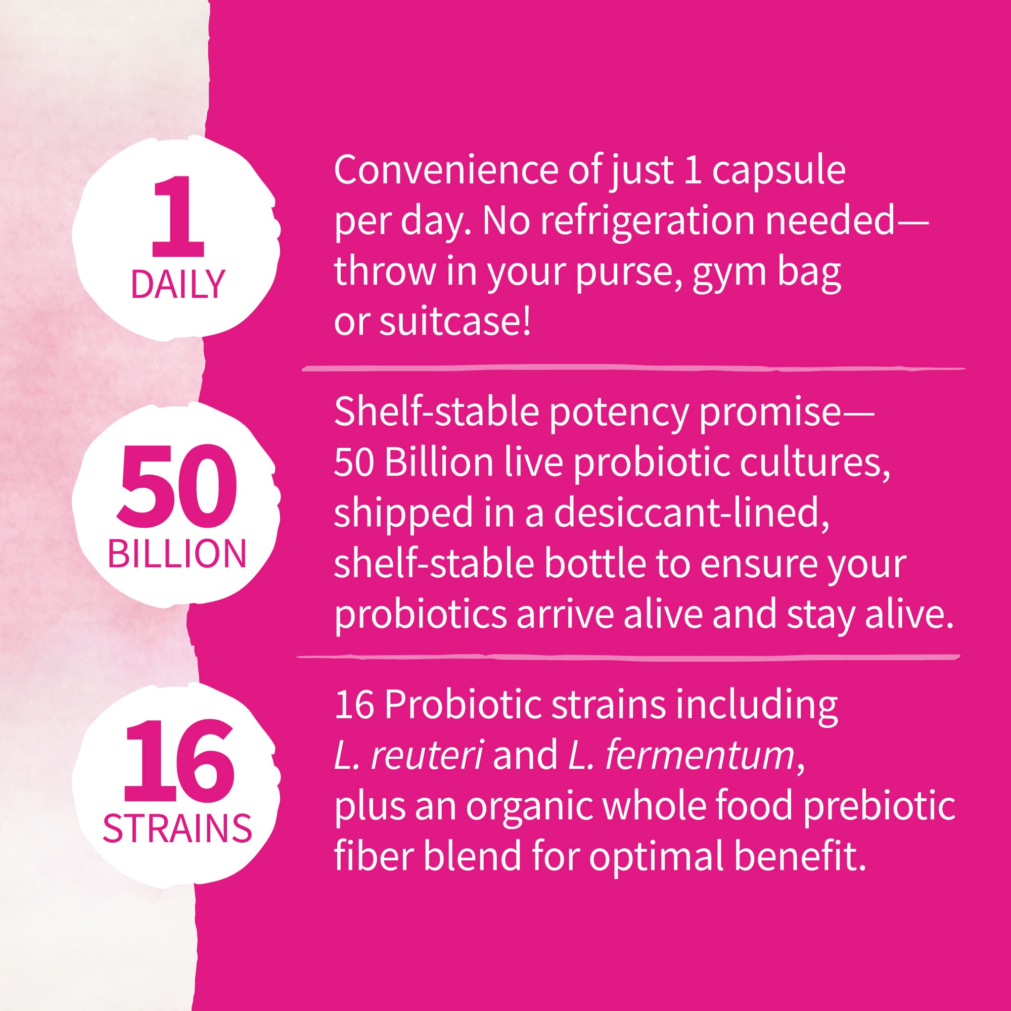 Garden of Life Organic Whole Food Vitamins Bundle for Men & Women - 60 Count - Daily Multivitamin Supplement for Energy, Immunity & Digestion - Perfect for Active Lifestyles & Wellness Routines