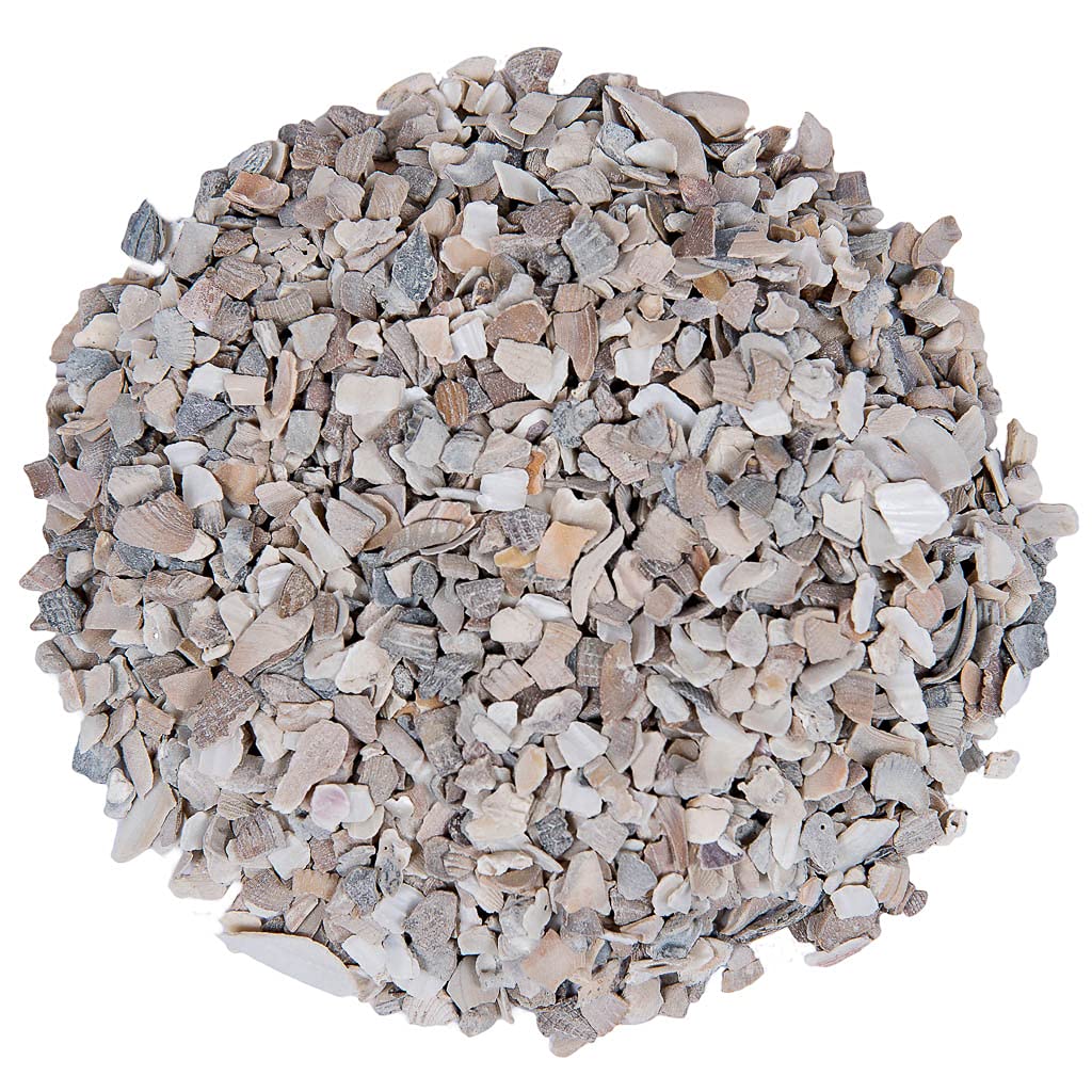 Small Pet Oyster Shell Mix - Calcium for Chickens & Ducks (10lb) - Poultry Health Supplement