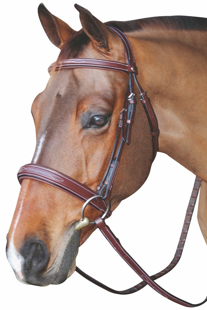 Henri de Rivel Mono Crown Bridle with Padded Wide Noseband - Premium Equestrian Horse Riding Equipment for Dressage & Show Jumping | Comfort Fit for Training & Competition