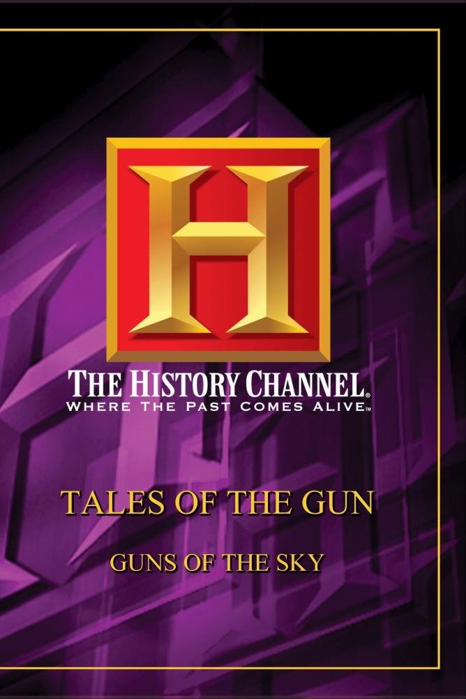 Tales of Gun: Guns of the Sky - Action-Packed Adventure Game for PC & Console | Epic Aerial Combat & Storyline | Perfect for Gamers & Aviation Enthusiasts
