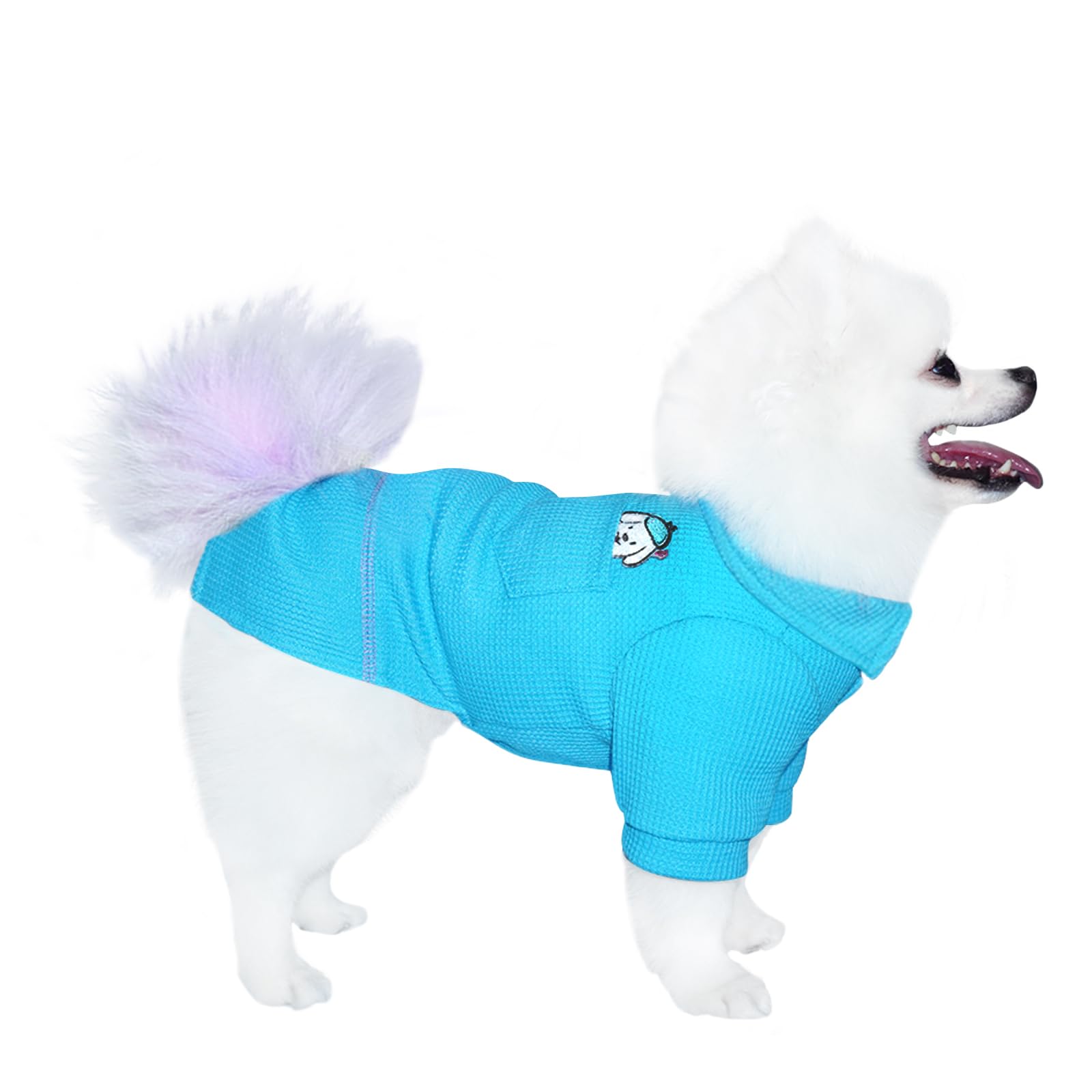 Dog T-Shirt with Sports Collar for Small & Medium Dogs - All Seasons Pet Clothing (Brilliant Blue, Size L) | Perfect for Daily Walks, Pet Parties & Outdoor Adventures