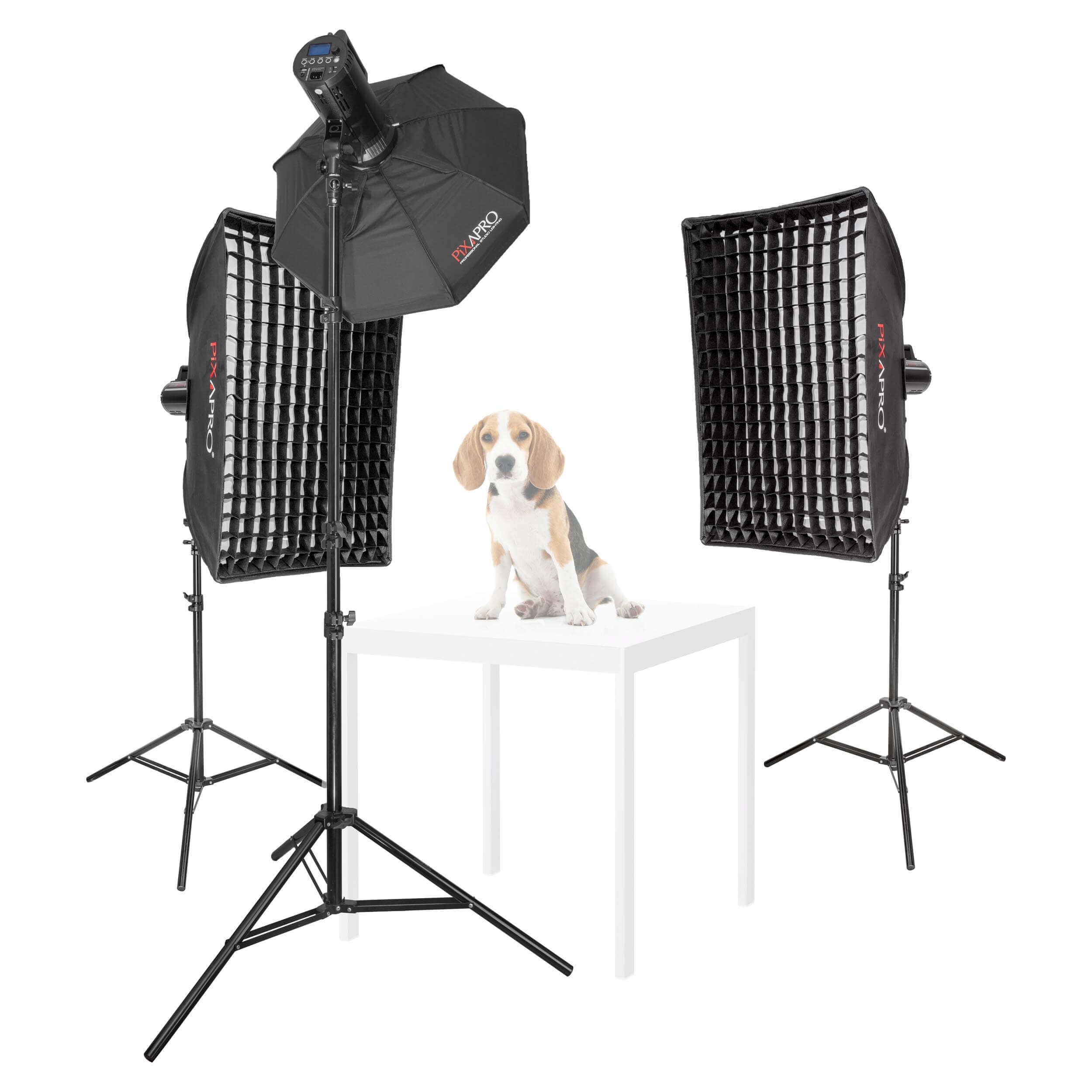 LUMI200II Professional Three-Head Pet Portrait Photography Lighting Kit - Perfect for Pet Studios, Animal Photography & Home Pet Portraits