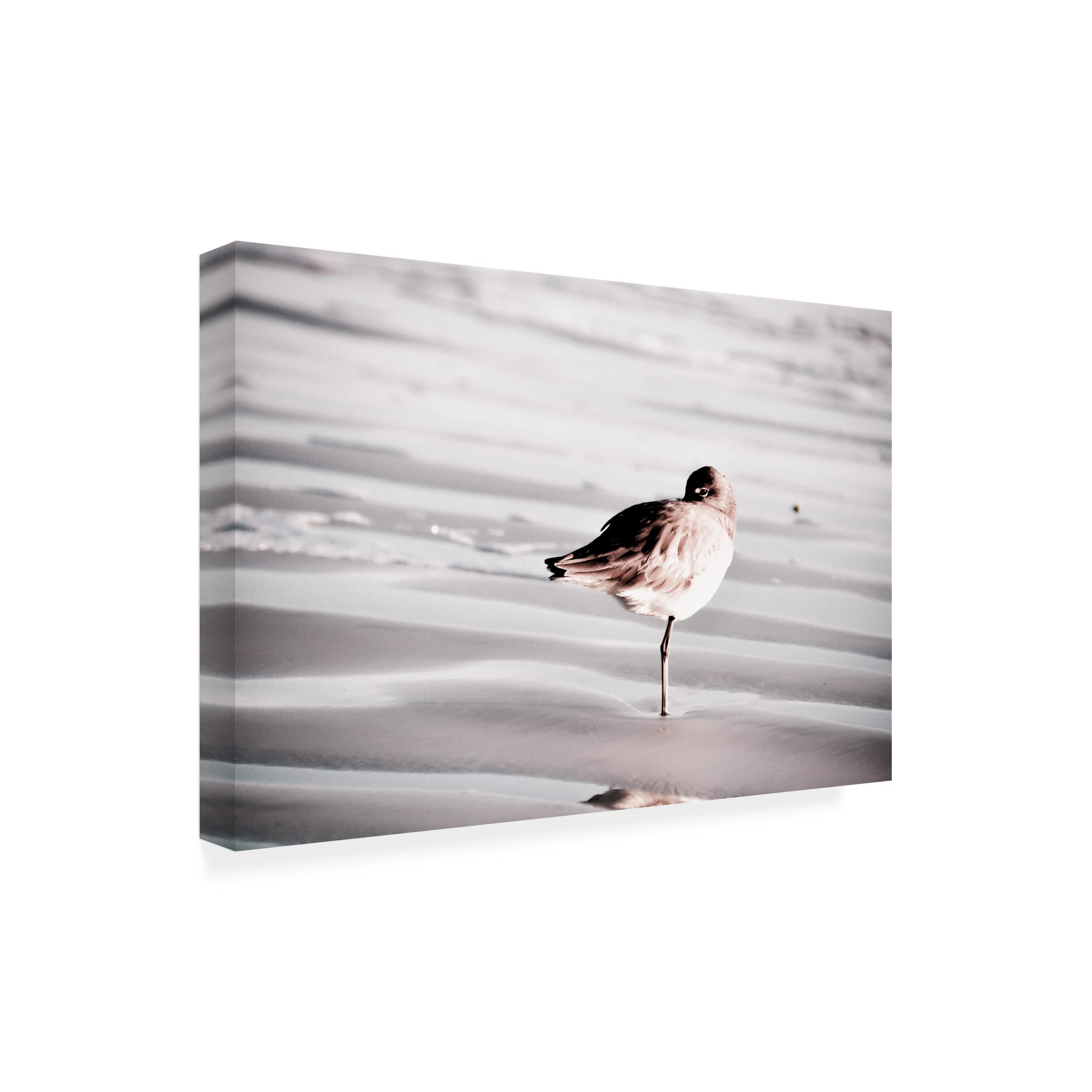 Blue Palomino 'Peeking Piper' Canvas Wall Art - Handmade Home Decor for Living Room, Bedroom & Office - Modern Framed Painting for Interior Design