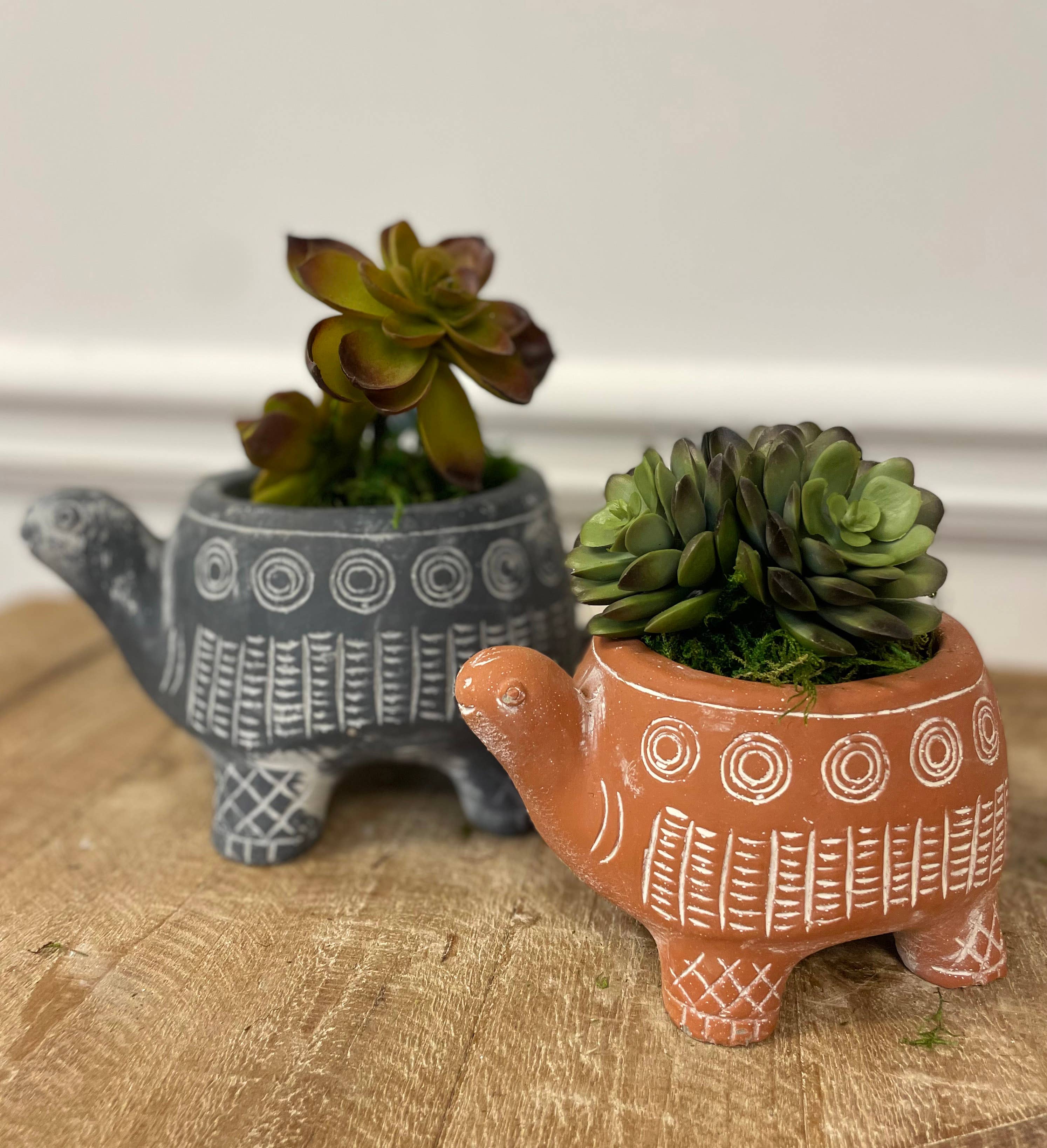 Cyan Cement Turtle Planter - Handmade Succulent Flower Pot for Home & Garden Decor - Perfect for Indoor Plants, Outdoor Patio, and Office Desk Decorations