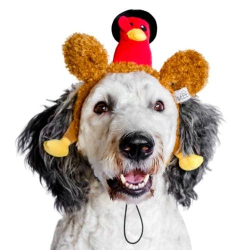 Soft Plush Pilgrim Turkey Headband for Thanksgiving - Cute Holiday Costume Accessory for Parties, Parades & Family Gatherings