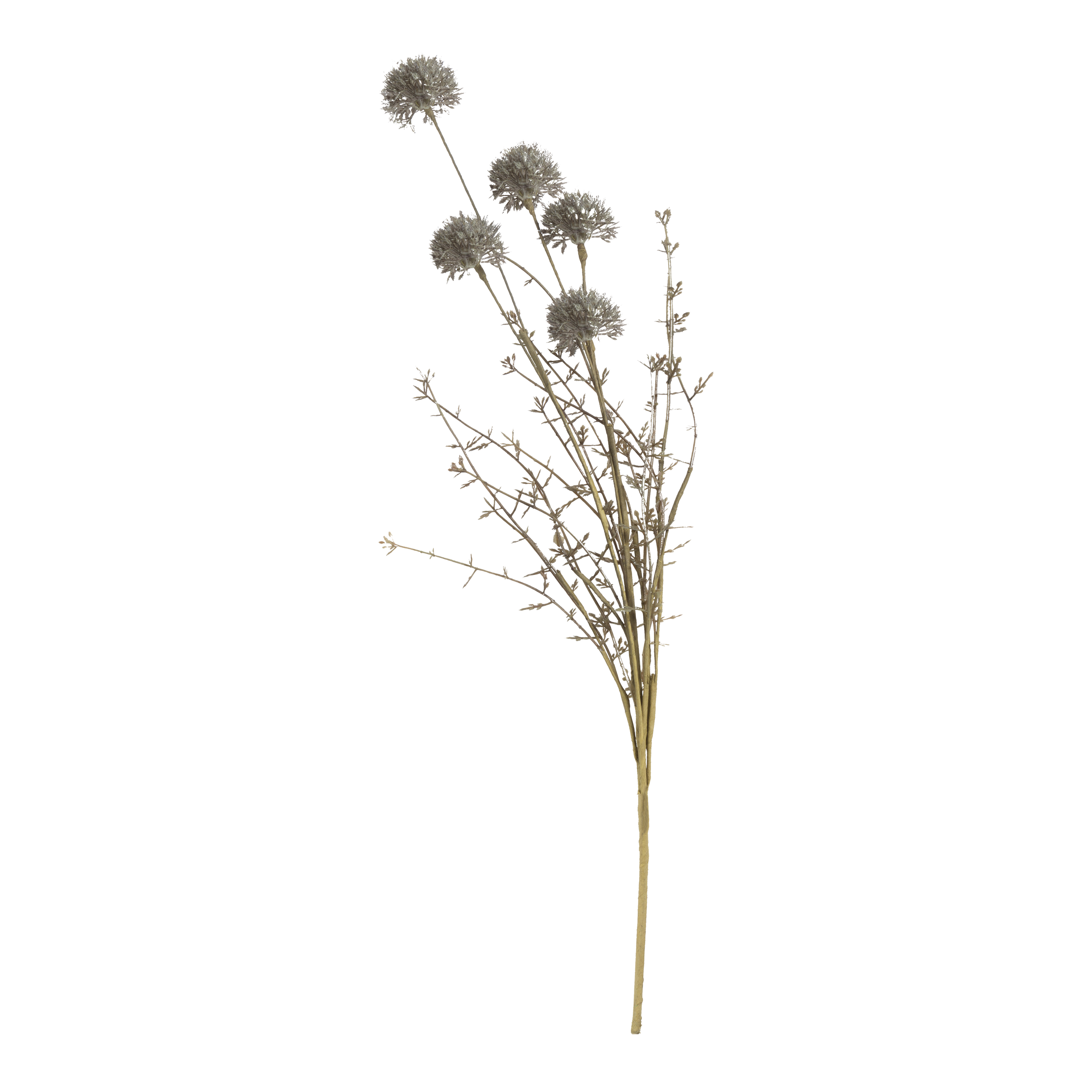 Premium Melaleuca Stem for DIY Crafts, Home Decor & Aromatherapy | Natural Tea Tree Wood for Handmade Projects & Essential Oil Diffusers