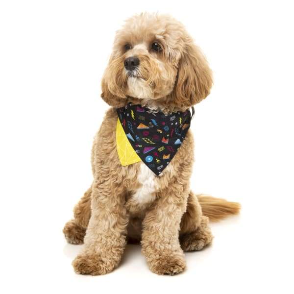 Fuzzyard Bel Air Pet Bandana for Dogs & Cats - Adjustable & Soft Fabric (2 Sizes) - Perfect for Holidays, Parties & Daily Walks