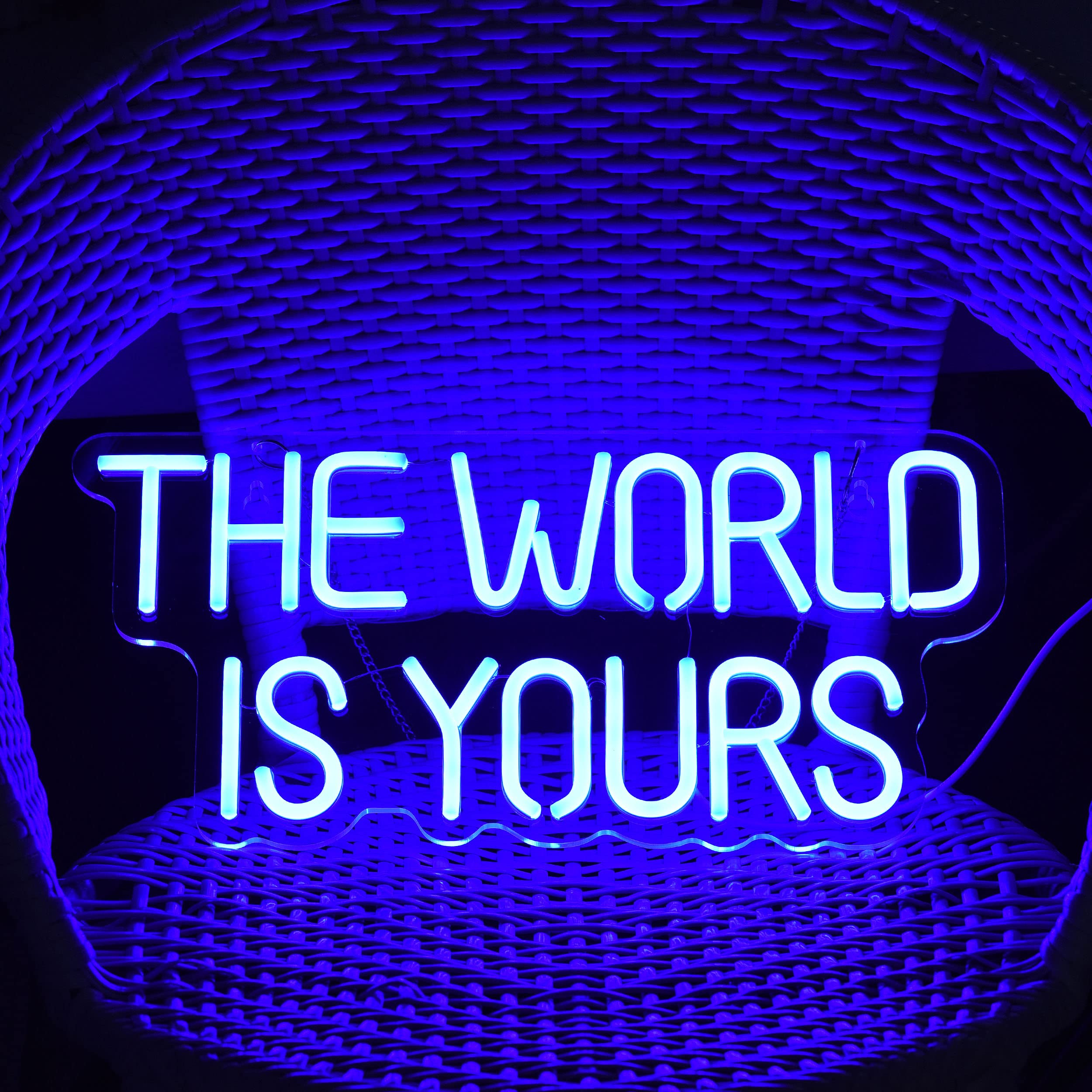 17x8 Inch LED Neon Blue 'The World is Yours' Dimmable Wall Sign - Custom Light Switch Art for Bedroom, Living Room & Party Decor | Perfect for Home, Office & Holiday Lighting