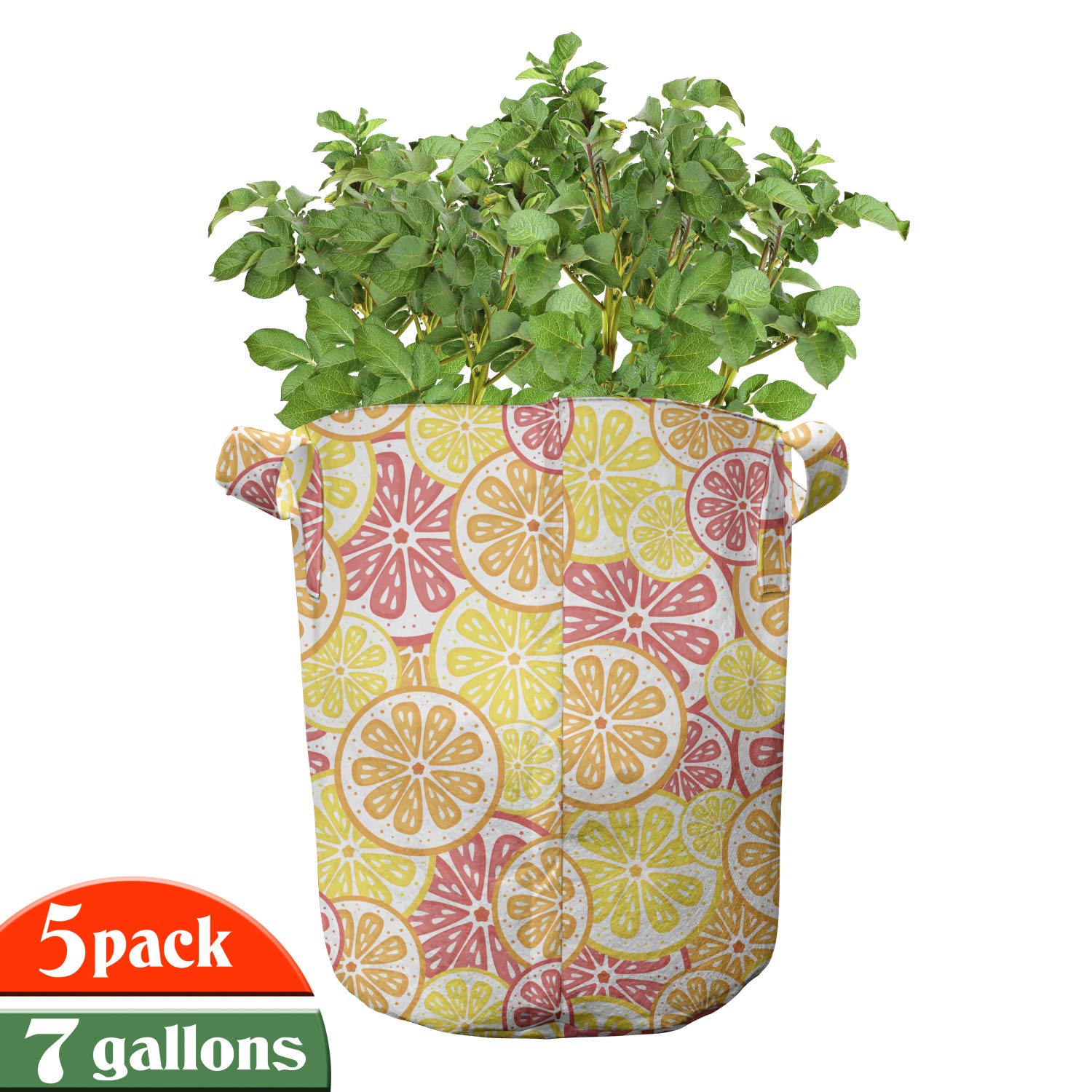 Ambesonne 5-Pack Heavy Duty Fabric Grow Bags with Handles - Citrus Fruit Pattern in Orange & Yellow - Durable Plant Pots for Indoor/Outdoor Gardening, Balcony & Patio Decor
