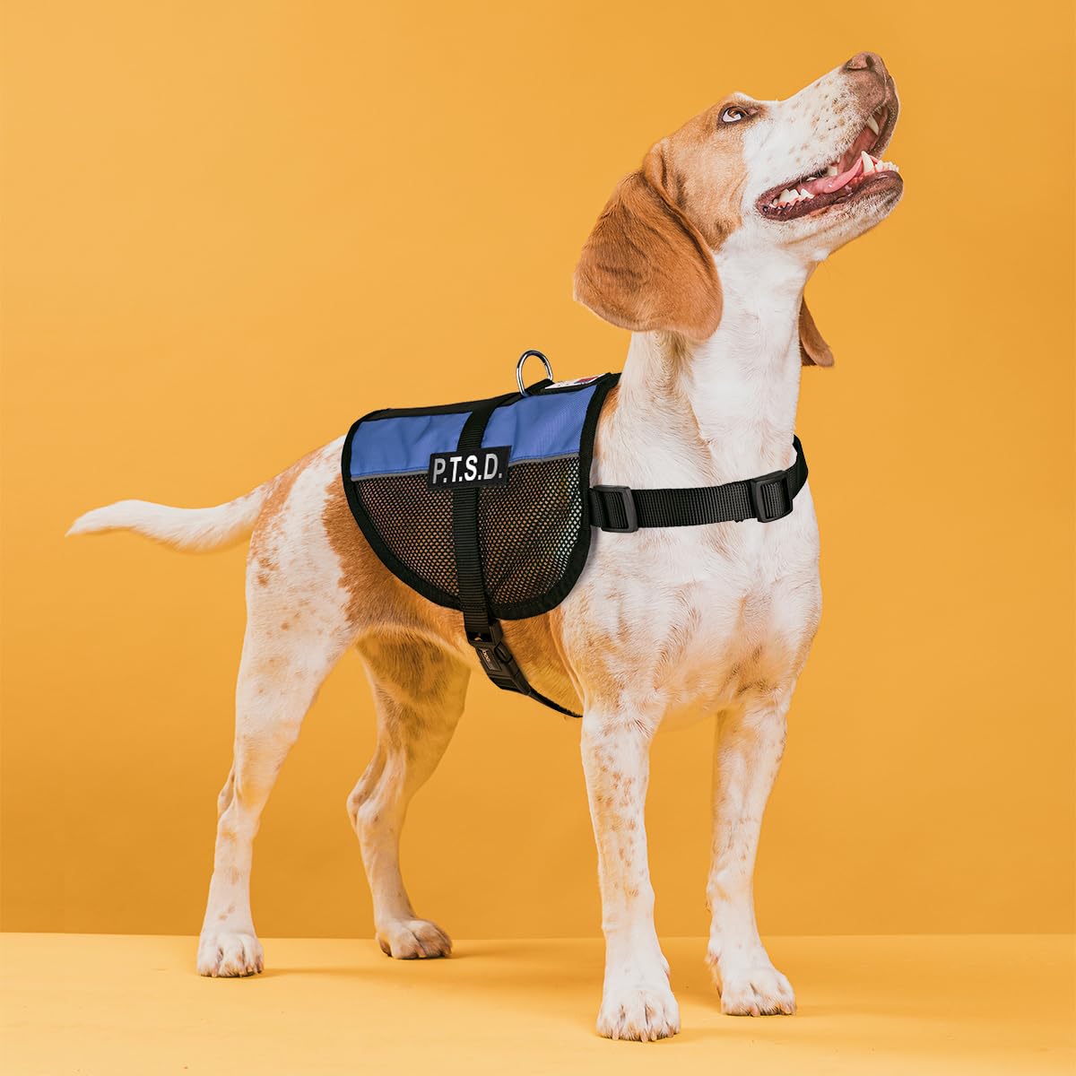 Dogline MaxAire Mesh Vest for Dogs - Breathable Cooling Dog Harness with 2 Removable PTSD Patches, Adjustable 17
