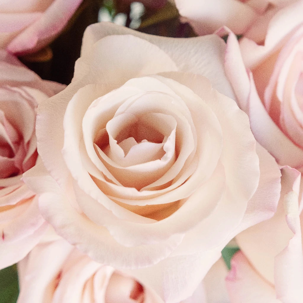 Anna Creamy Light Pink Rose - Premium Artificial Silk Rose Flowers for Home Decor, Wedding Bouquets, and Party Centerpieces | Perfect for DIY Floral Arrangements and Gift Giving