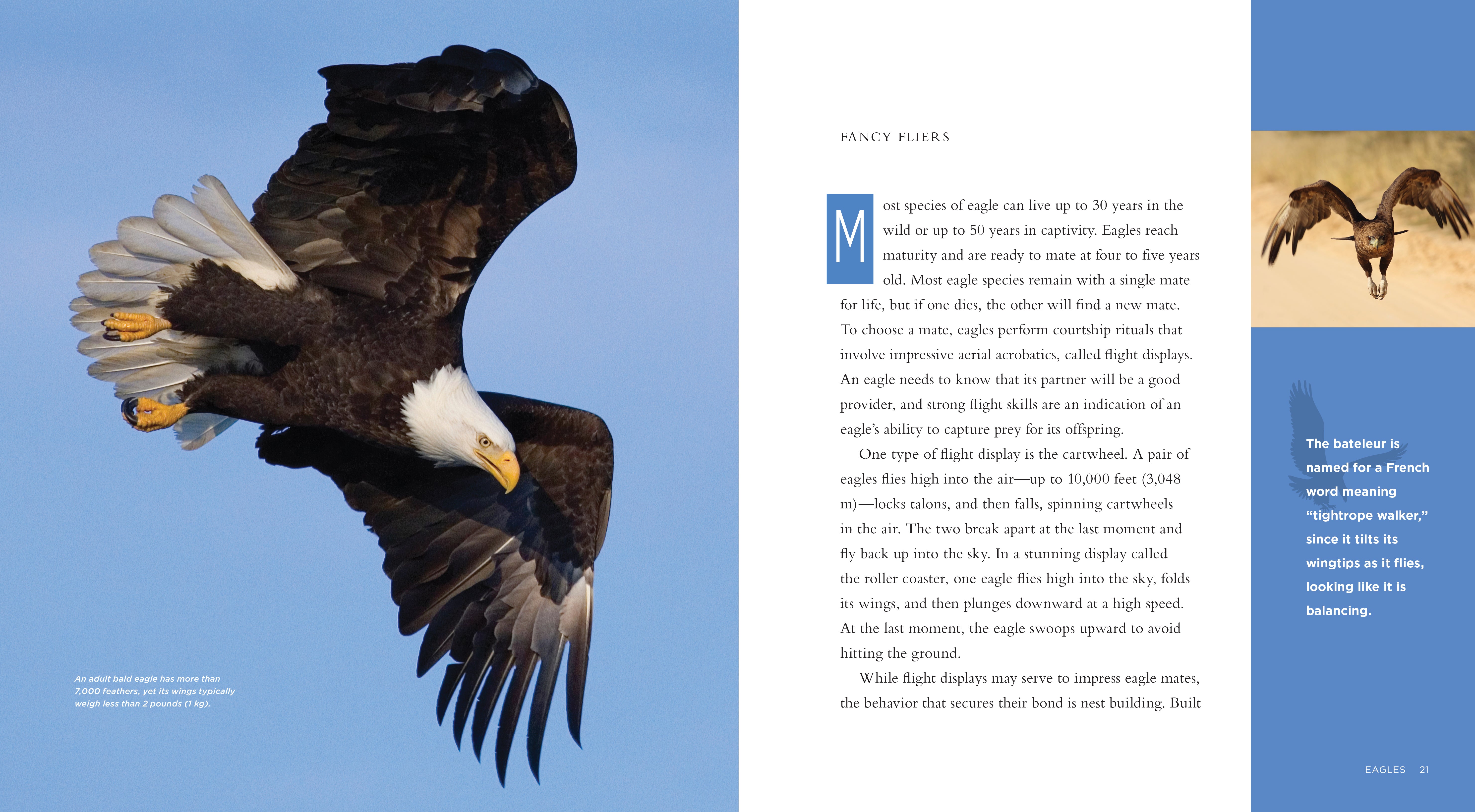 Eagles Book - ISBN 978-1-58341-968-7 | Wildlife Nature Reading, Bird Watching Guide & Outdoor Adventure Companion