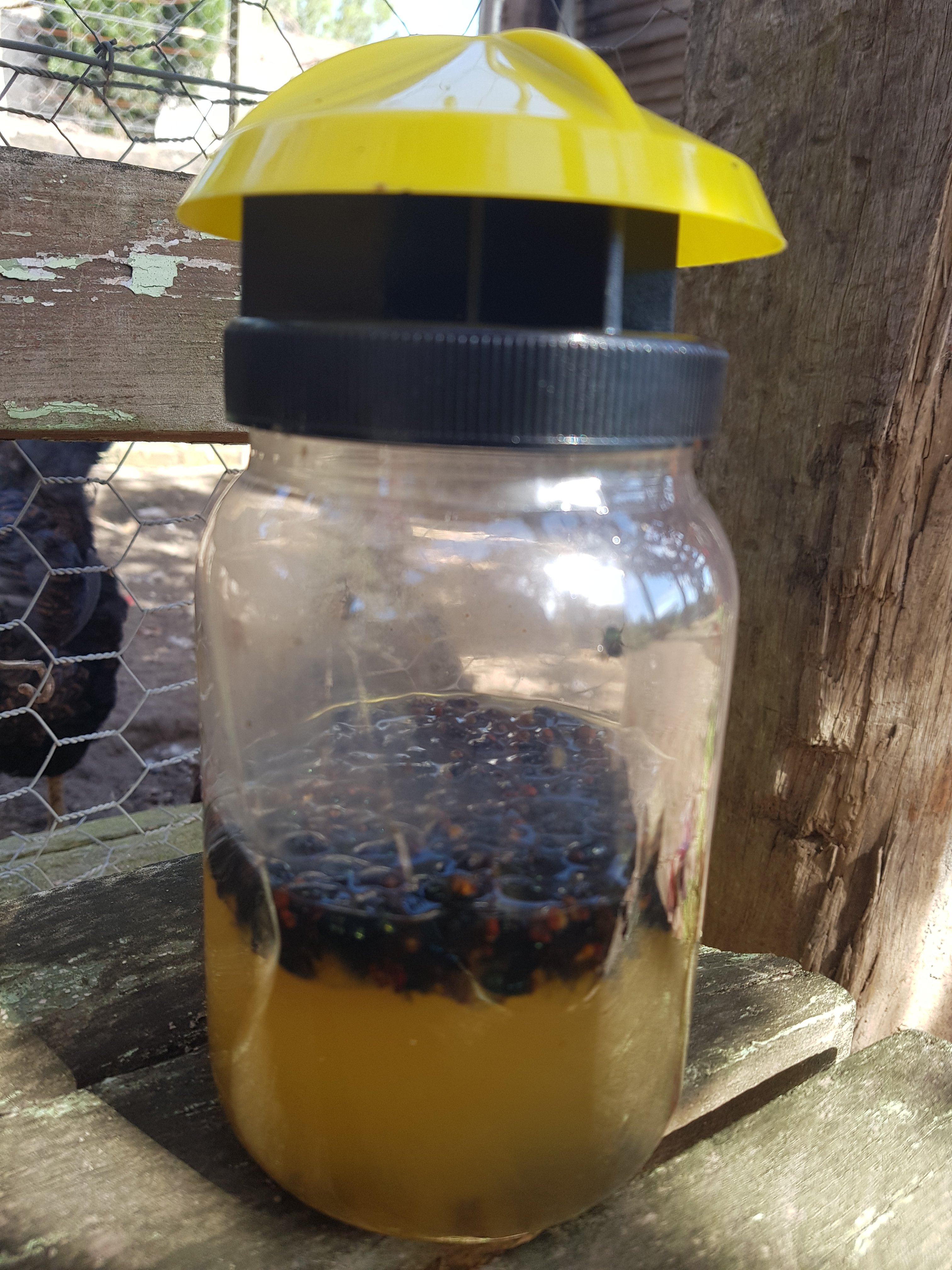 Effective Fly Trap for Indoor & Outdoor Use - Sticky Fly Catcher for Home, Kitchen, Garden - Non-Toxic Pest Control Solution