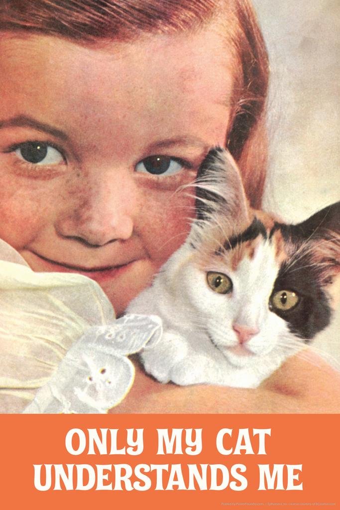 Funny Cat Poster - Motivational & Inspirational Kitten Wall Art Print 16x24 - Perfect for Cat Lovers, Home Decor, Office & Gifts