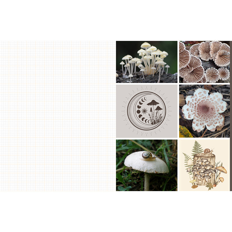 Premium Mushroom & Fungi Cutting and Collage Kit - DIY Craft Supplies for Scrapbooking, Journaling, and Nature-Themed Home Decor
