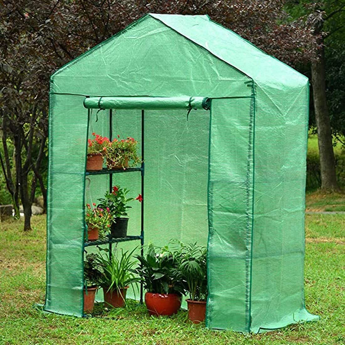Sturdy Walk-In Greenhouse for Tomatoes, Vegetables, Fruits & Flowers - 142x71x195cm Reinforced Plastic Plant Shed with Durable Cover | Perfect for Backyard Gardening, Urban Farming & Year-Round Plant Protection