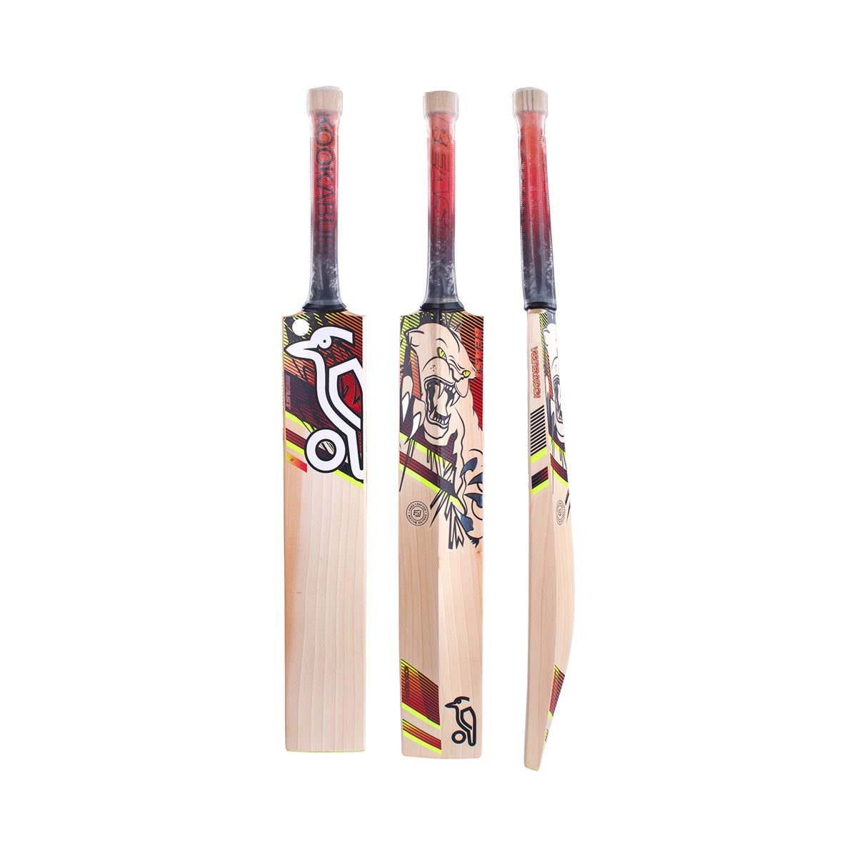Kookaburra Beast 3.1 Junior Cricket Bat - Lightweight Wooden Cricket Bat for Kids & Youth - Perfect for Practice, Training & Matches