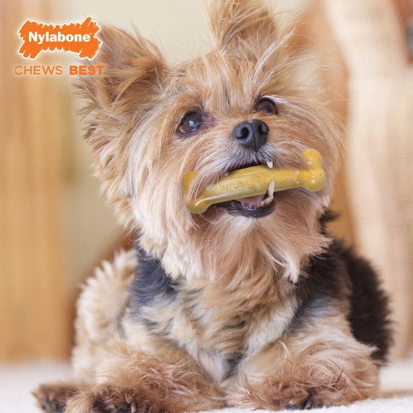 Nylabone FlexiChew Triple Pack - Chicken & Original Flavored Durable Dog Chew Toys for Small, Medium & Large Breeds - Perfect for Teething, Dental Health & Boredom Relief